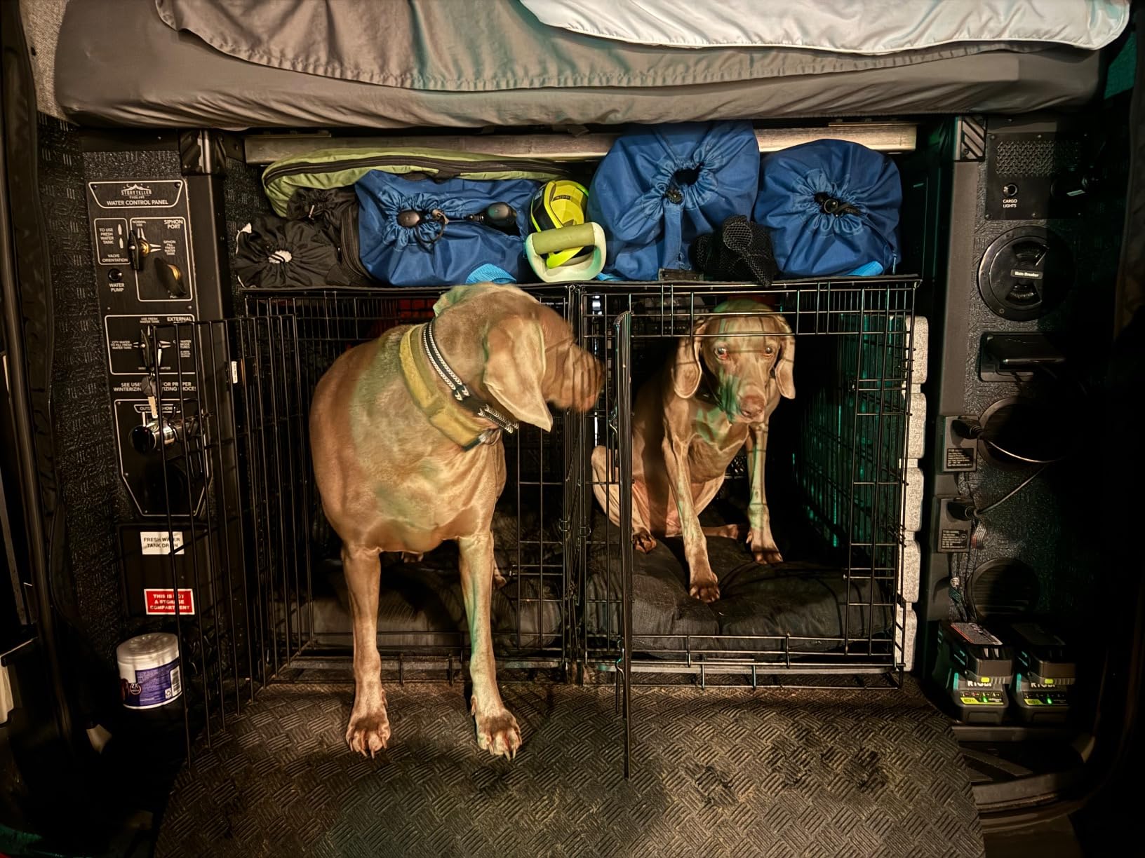 MidWest Homes for Pets Solutions Series Side-by-Side SUV Dog Crate, Double Door Folding Metal Cage Designed to Fit in SUVs & Vans, for Dogs up to 70 Lbs customer photo 2