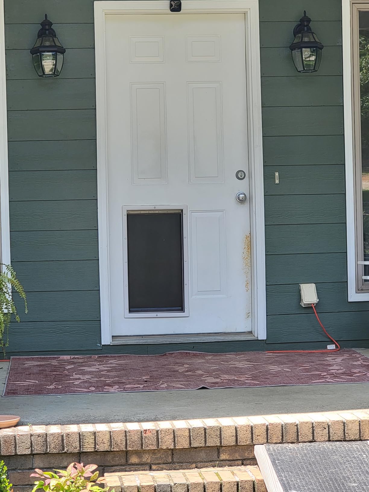 PetSafe Plastic Dog & Cat Door, Pets Up to 220 lb, X-Large | Flap Opening 13 5/8 in W x 23 5/8 in H, Snap-on Closing Panel, Paintable Frame, Easy DIY Install customer photo 1