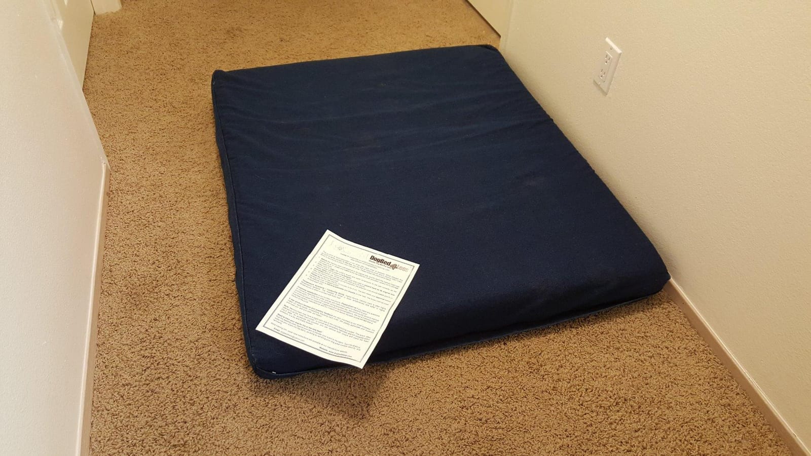 Jumbo Orthopedic Memory Foam Dog Bed for Large Dogs with Durable Denim Cover, Waterproof Liner and Extra Pet Bed Case, 55X47X4 Inches customer photo 1