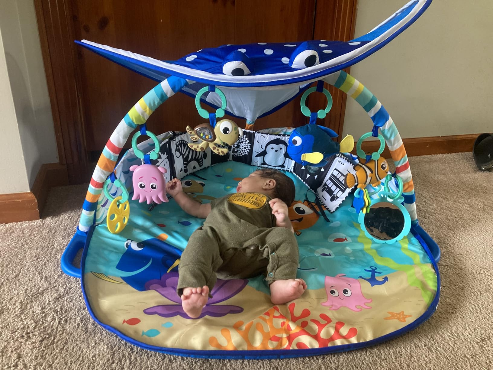 Bright Starts Disney Baby Finding Nemo Mr. Ray Ocean Lights & Music Gym, Ages Newborn + customer photo 1