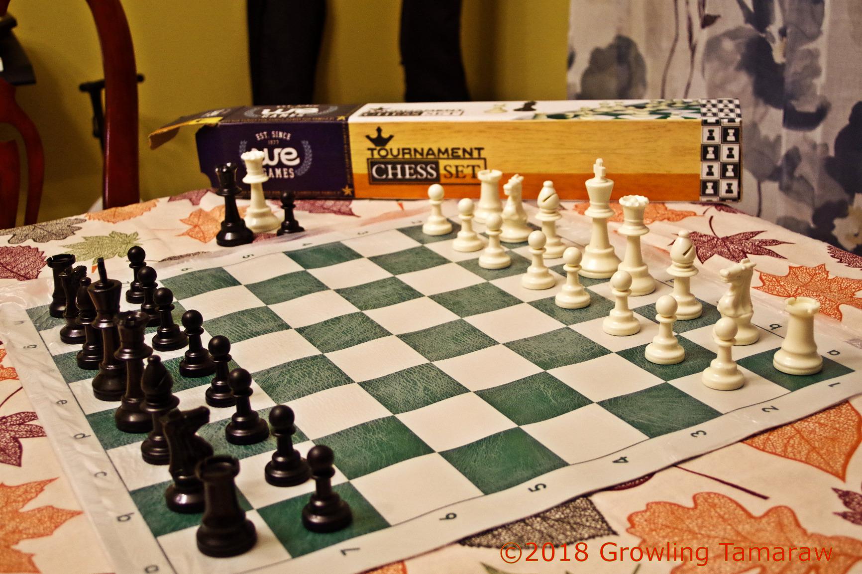 WE Games Chess Set - Tournament Style with 34 Pieces, Vinyl Roll-Up Board, Storage Bag & Equalizer Dice. Ideal for Adults customer photo 1