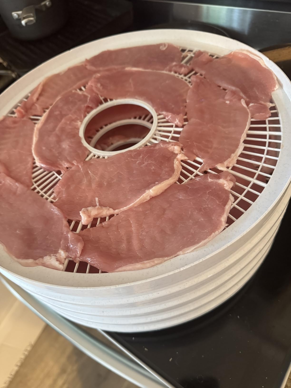 NESCO FD-37 Food Dehydrator, For Snacks, Fruit, Beef Jerky, White/Clear, 4 Trays customer photo 2