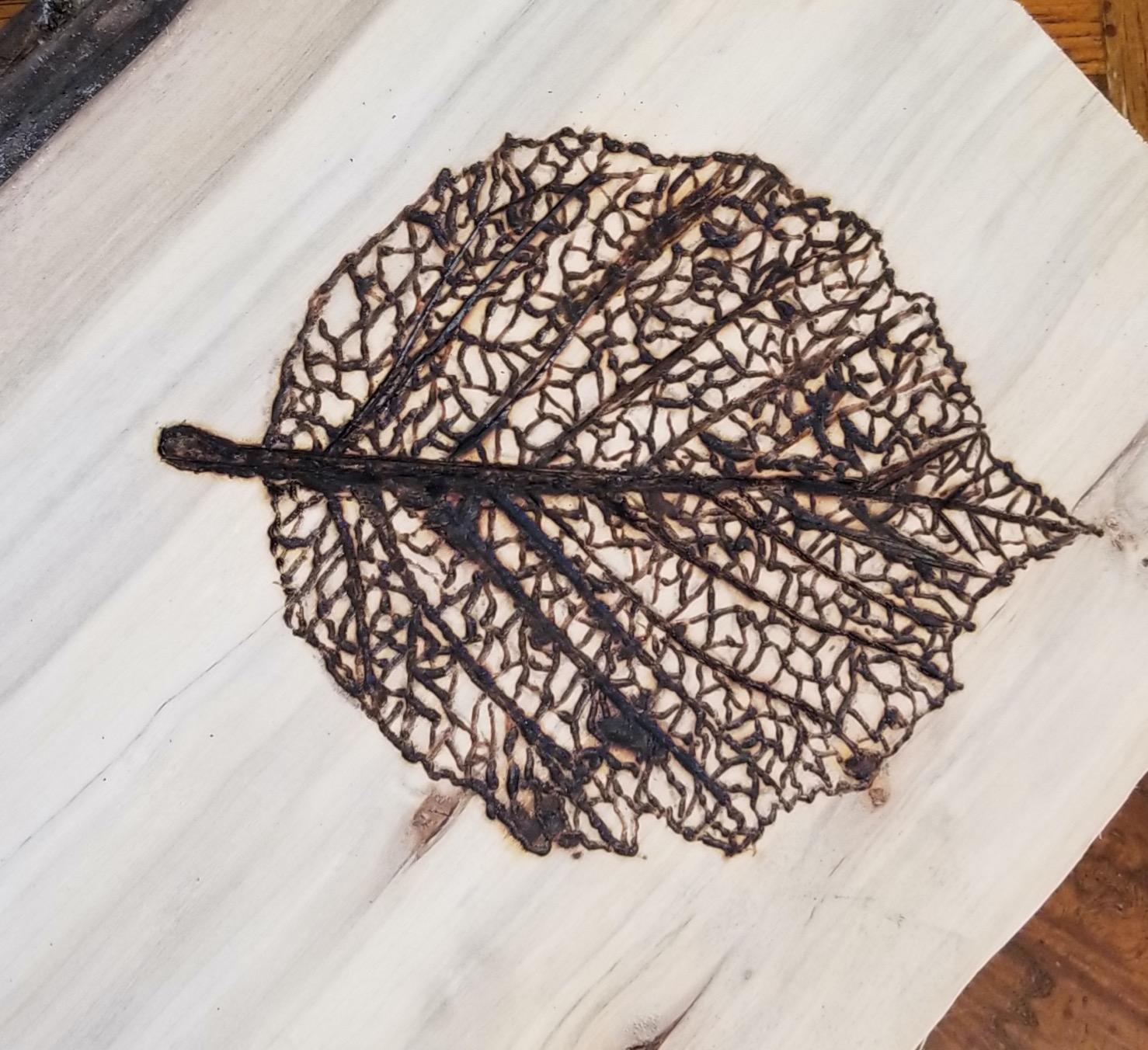 Super Pro II Woodburning Kit customer photo 1