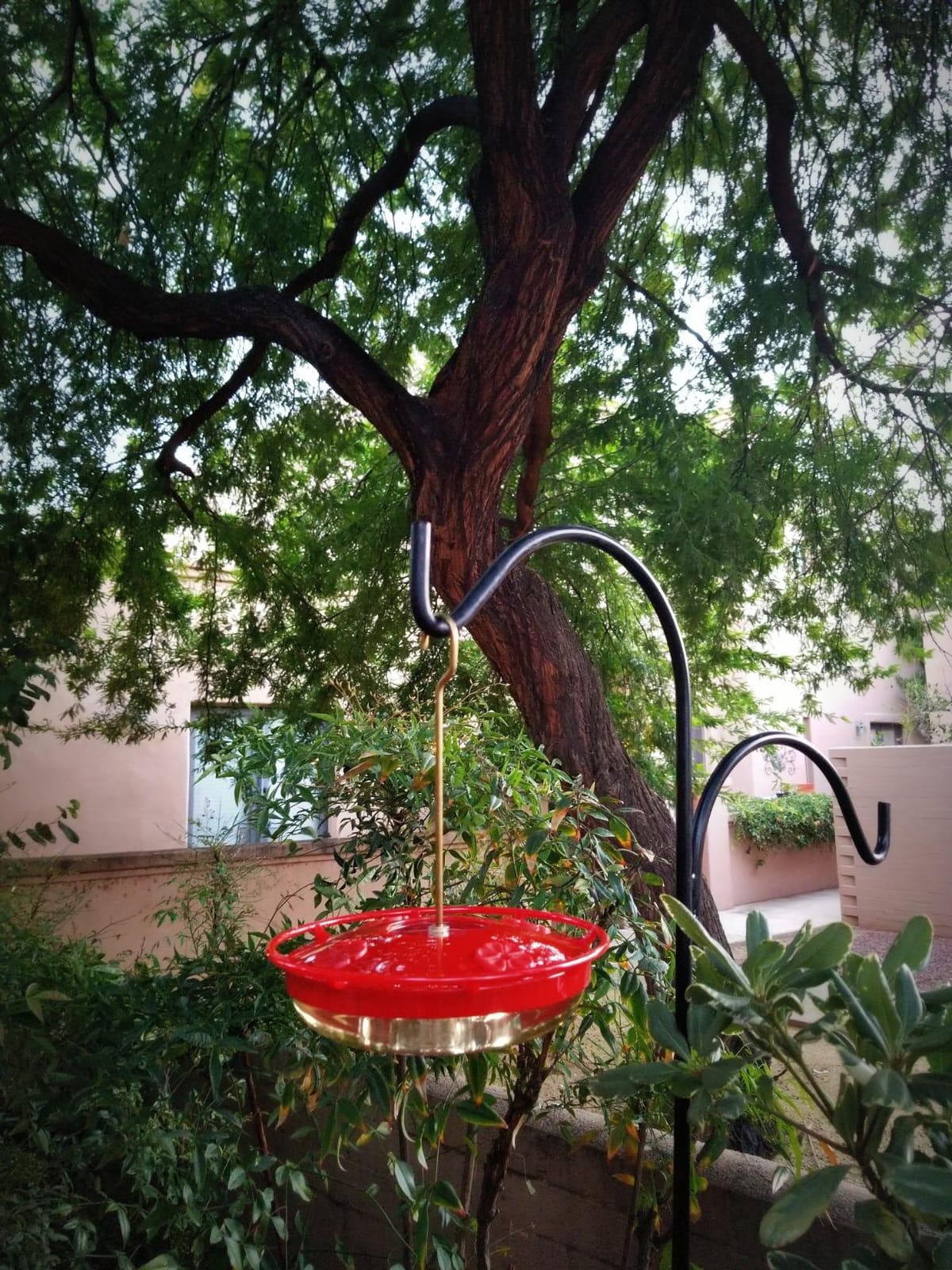 Aspects HummZinger HighView 12 Oz Hanging Hummingbird Feeder - 429, Red customer photo 2