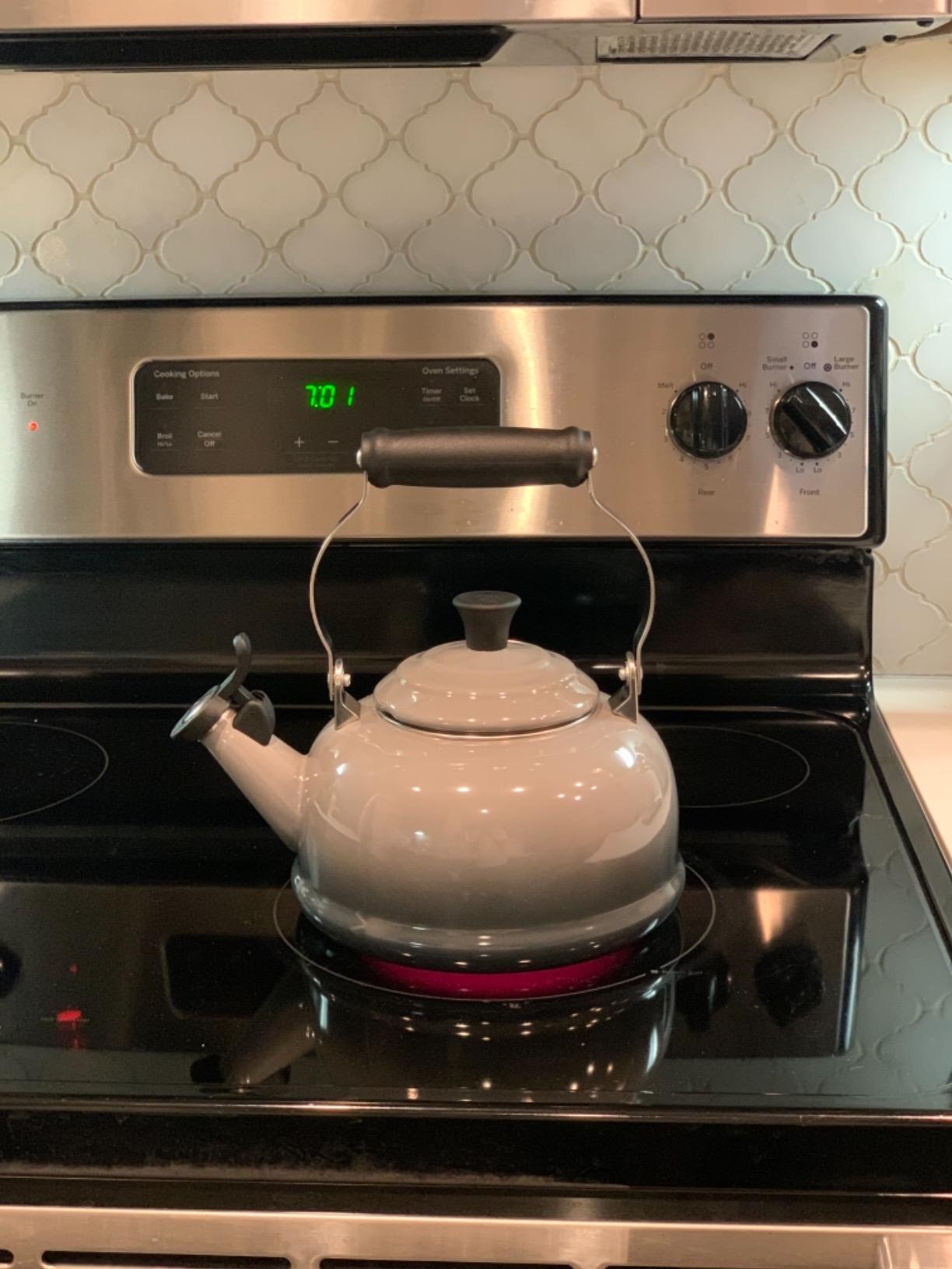 Le Creuset Whistling Tea Kettle, 1.7 qt., Stainless Steel/Black Knob customer photo 1