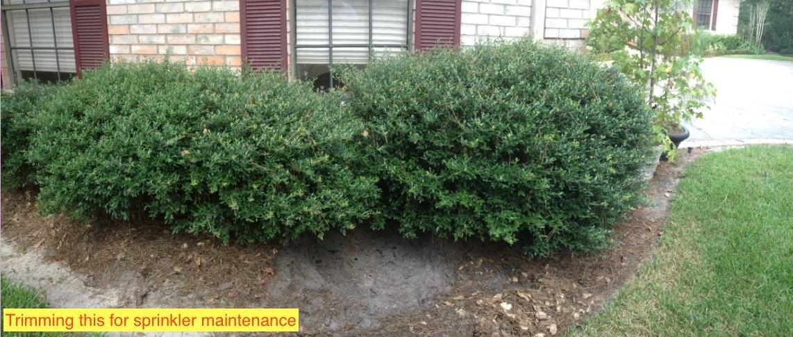 BLACK+DECKER 20V MAX Pole Hedge Trimmer Cordless with Battery and Charger, 18-Inch Dual Action Blade Power Hedge Trimmer, Extended Long Reach Hedger Up to 11 Ft, 180 Degrees Pivoting Head (LPHT120) customer photo 1