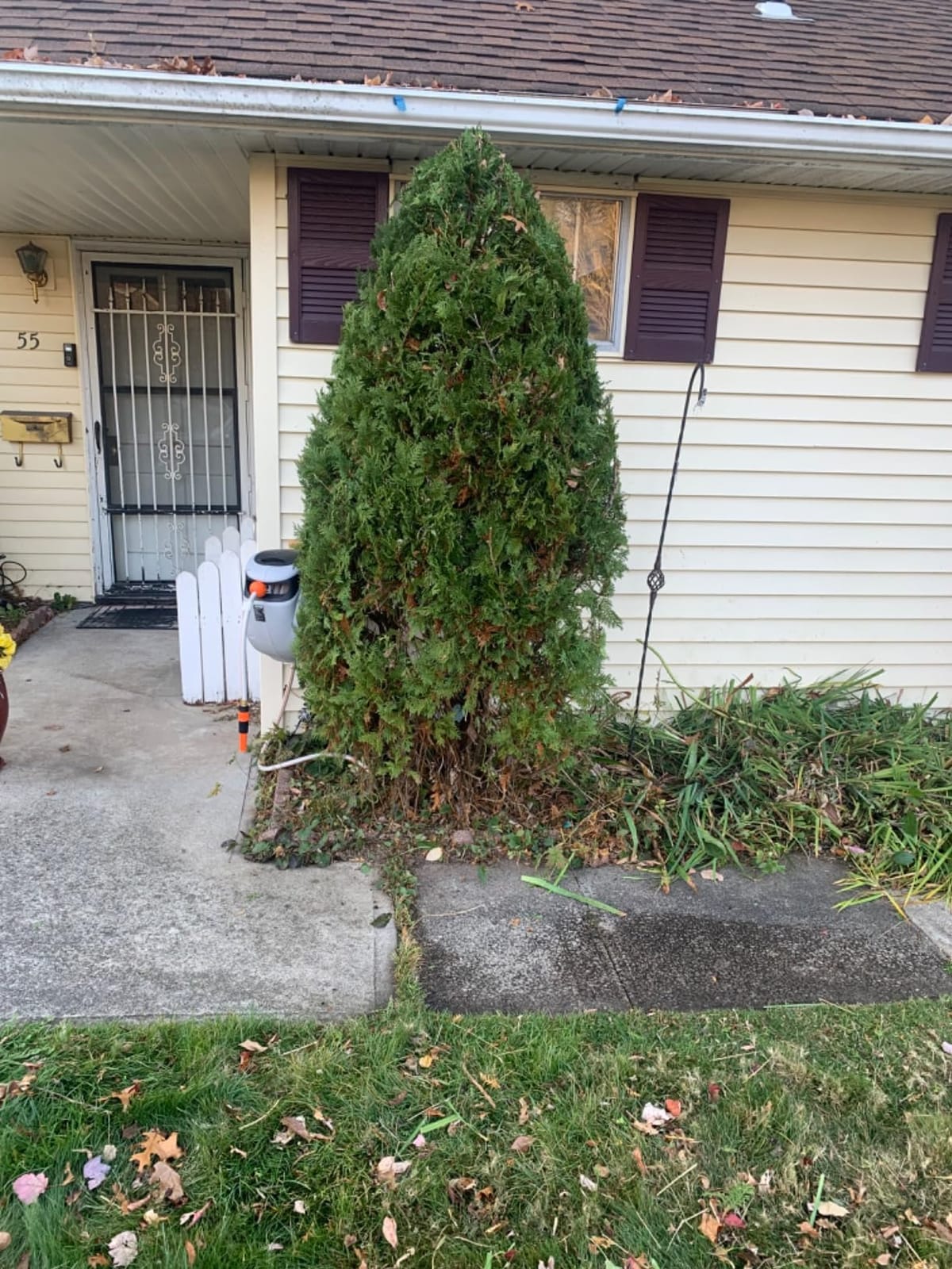 BLACK+DECKER 20V MAX Pole Hedge Trimmer Cordless with Battery and Charger, 18-Inch Dual Action Blade Power Hedge Trimmer, Extended Long Reach Hedger Up to 11 Ft, 180 Degrees Pivoting Head (LPHT120) customer photo 2