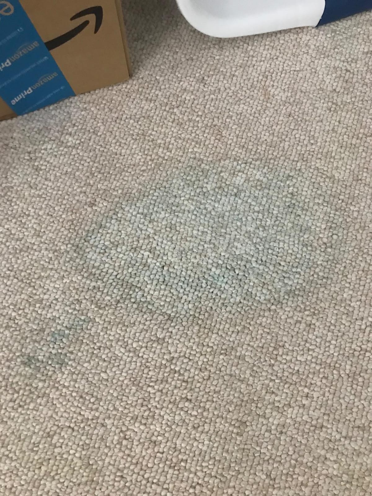 Spot Shot Professional Instant Carpet Stain Remover with Trigger Spray, 32 OZ customer photo 2