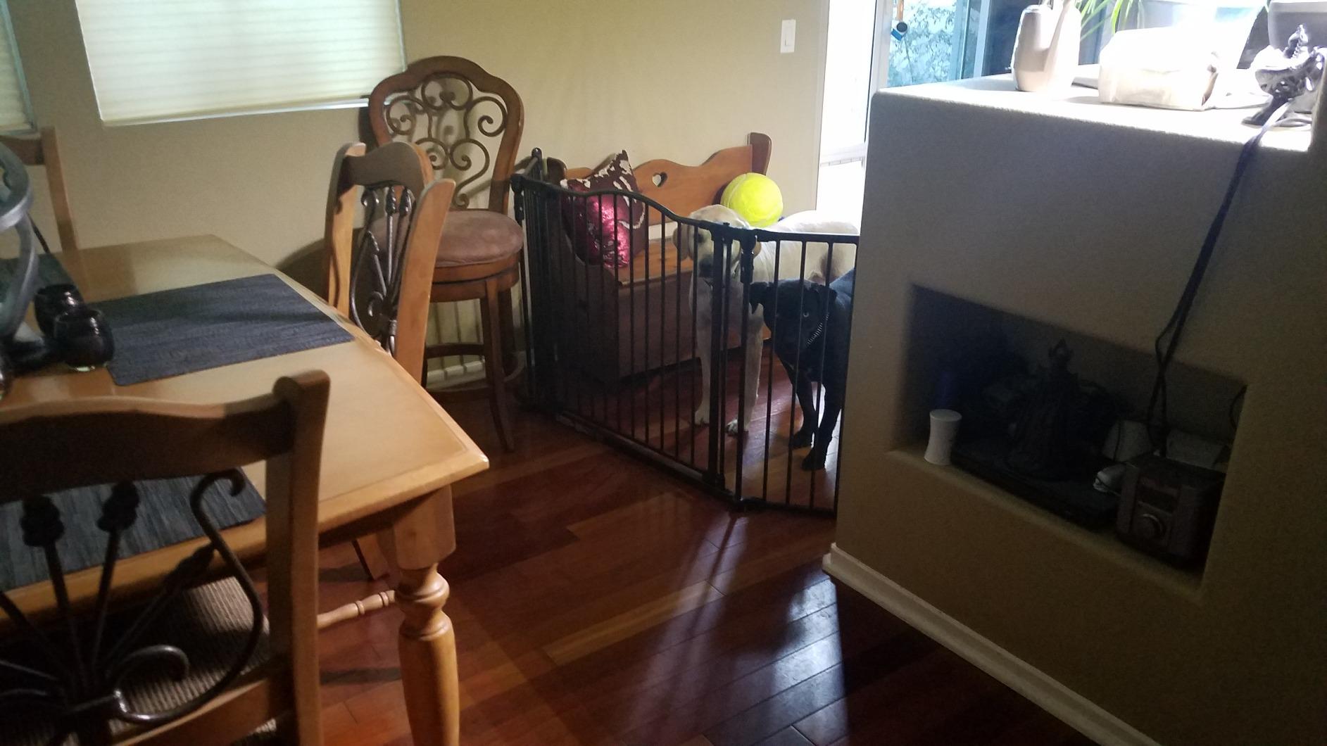 Toddleroo by North States - Deluxe Decor Safety Gate: Hardware Mounted Extra Wide Metal Baby Gate - Adjustable Child Gate - 38.3 to 72 Inches Wide - 30 Inches Tall - Matte Bronze customer photo 1