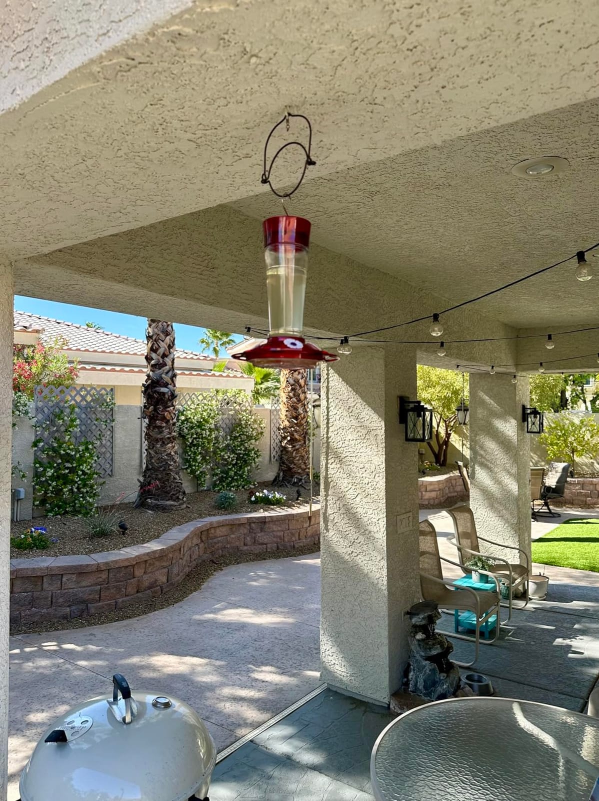 More Birds Bird Health+ Ruby Hummingbird Feeder, Glass Hummingbird Feeders for Outdoors, 4 Feeding Stations, 10 Ounces, Ruby Red customer photo 1