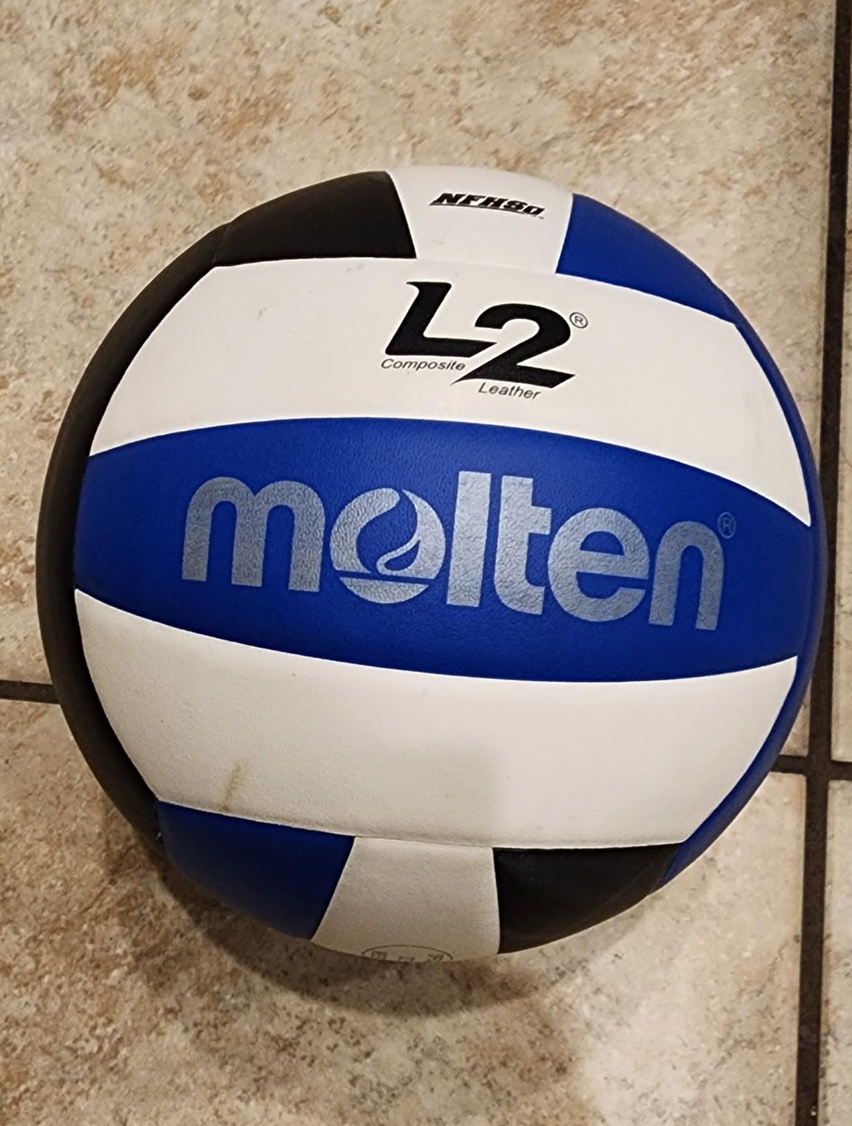 Molten L2 Volleyball, NFHS Approved customer photo 2