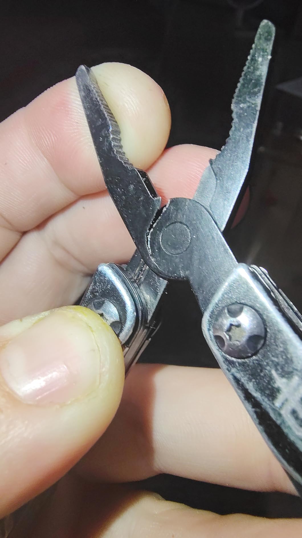 Gerber Dime 12-in-1 Mini EDC Multitool - Needle Nose Pliers, Pocket Knife, Keychain, Bottle Opener - Gifts for Men, EDC Gear and Equipment - Black customer photo 2