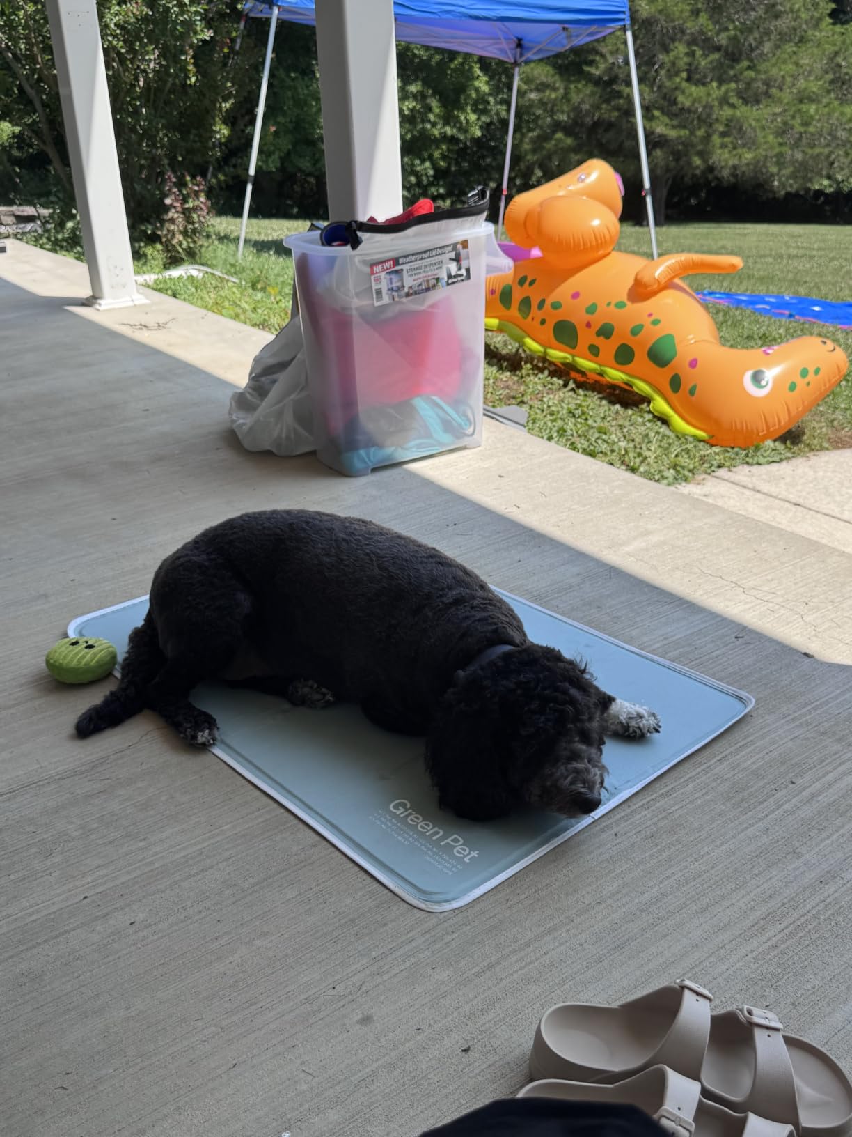The Green Pet Shop Cool Pet Pad - Large, Blue - Self-Cooling, Pressure Activated Mat for Dogs & Cats from 46-80 lbs - Non-Toxic Gel, No Water Needed customer photo 1