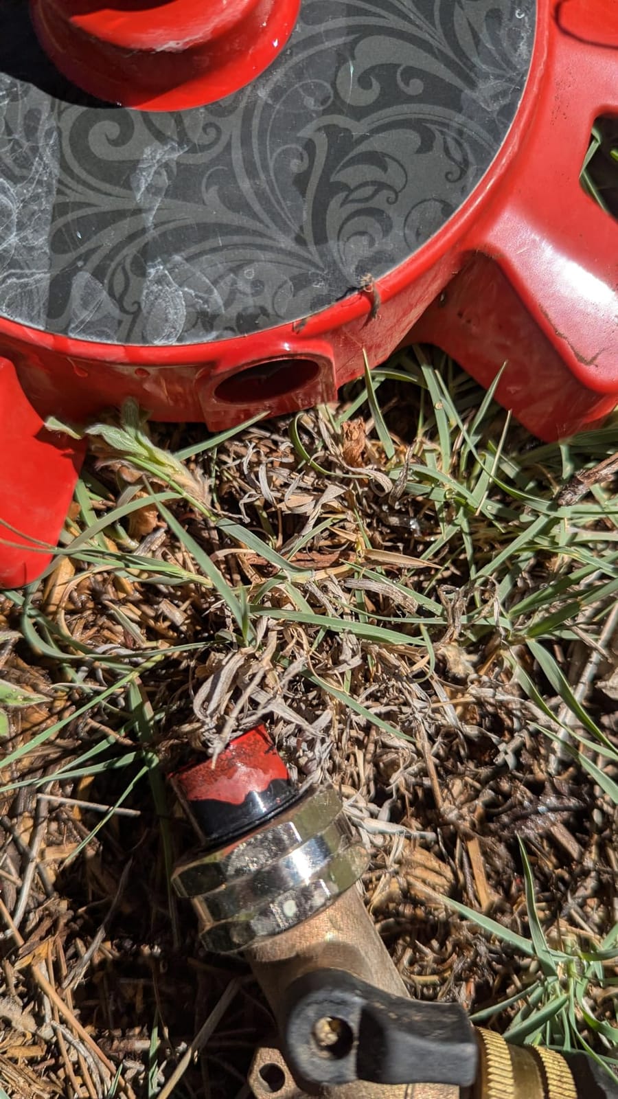 Dramm 15071 ColorStorm Spinning Sprinkler, Red customer photo 2