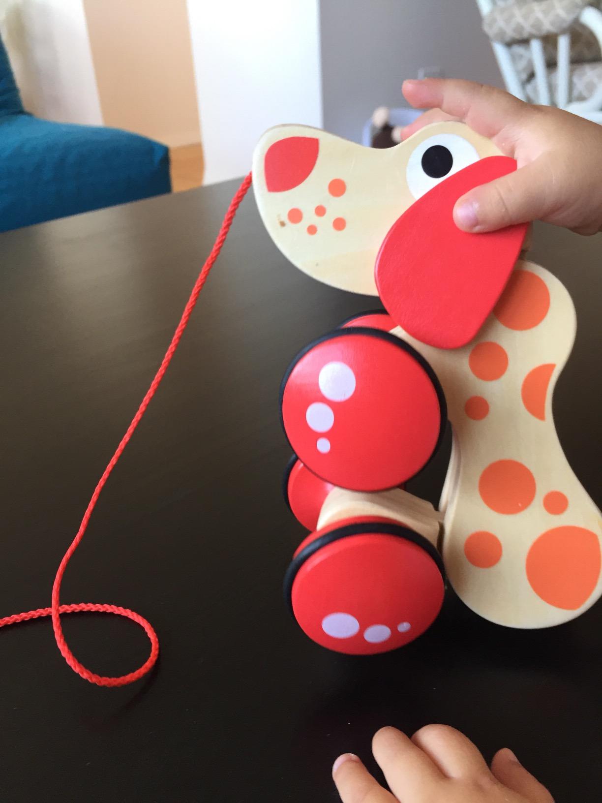Hape Walk-A-Long Puppy Wooden Pull Toy customer photo 2