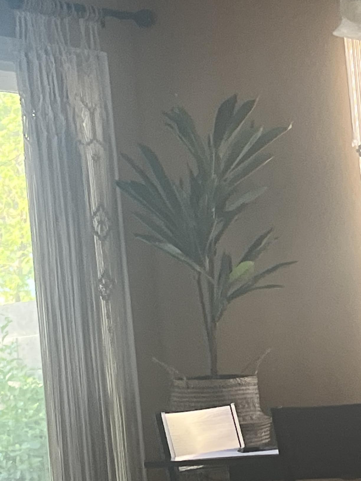 Nearly Natural 48 in Artificial Dracaena Real Touch Plant with Pot | Multi-Tonal Trunks, Large Indoor Silk Plant, Maintenance-Free, Living Room and Home Office Decor customer photo 2