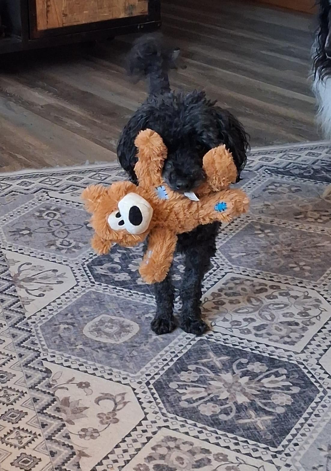 KONG Wild Knots Bears - Durable Dog Toys with Internal Knotted Ropes and Minimal Stuffing for Less Mess customer photo 1