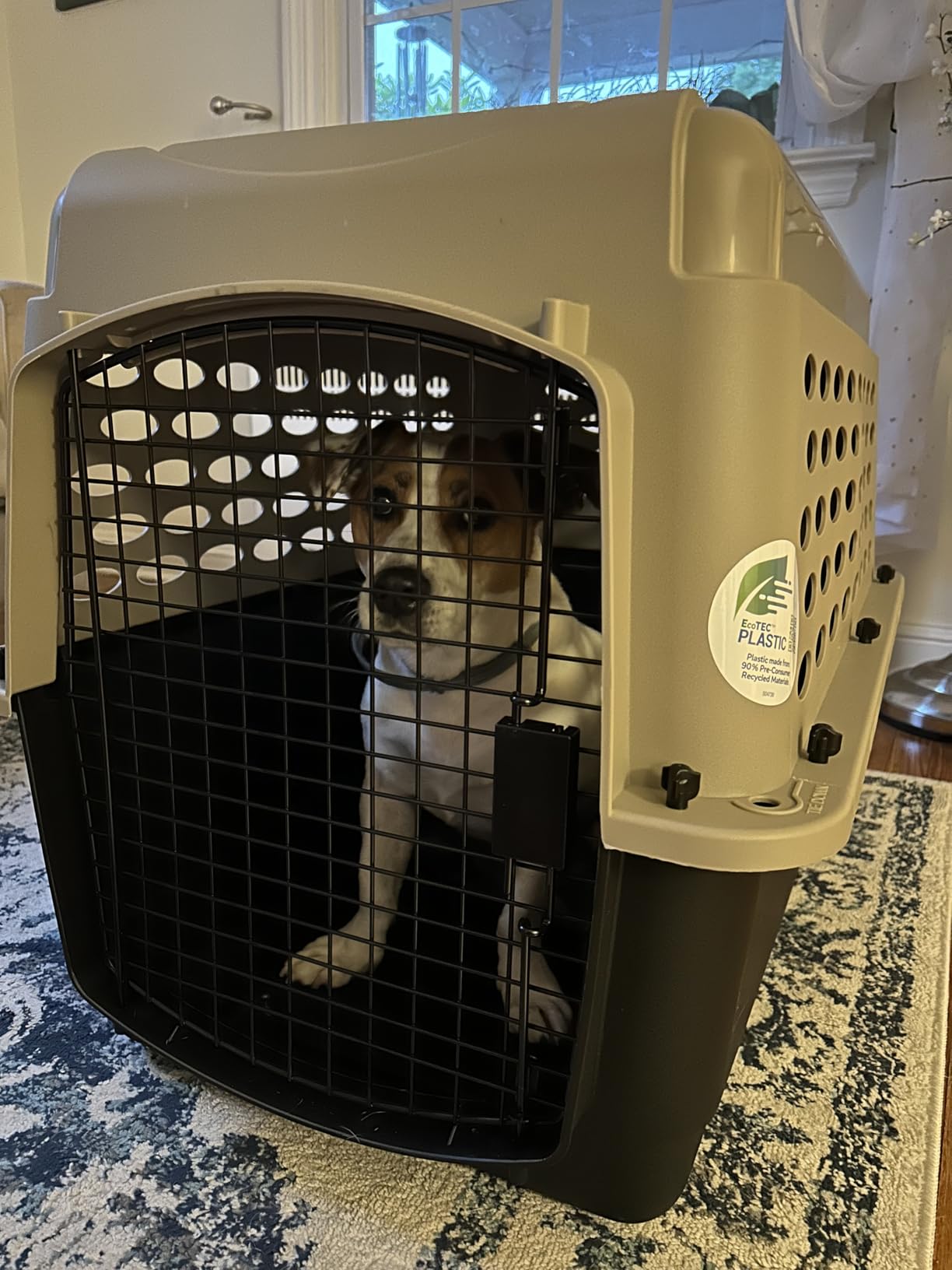 Petmate Vari Dog Kennel - Portable Dog Carriers & Crates for Large Dogs, Airline-Friendly, Durable Plastic, Pet Carrier For Home and Travel, 36 Inches, Taupe and Black customer photo 1