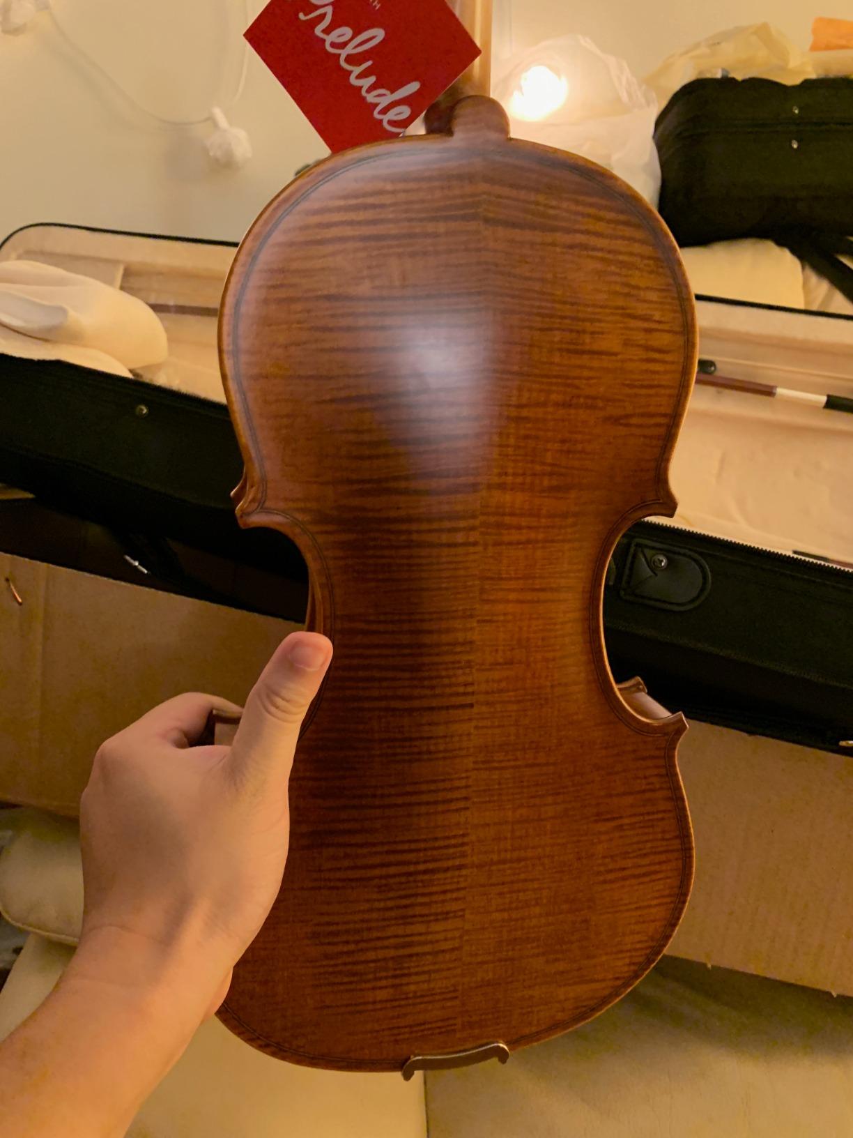 Cecilio Full Size 4/4 Violin with Hard Case & Shoulder Rest - Solidwood Ebony Fitted Violin with Premium Strings, Ideal for Beginners customer photo 2