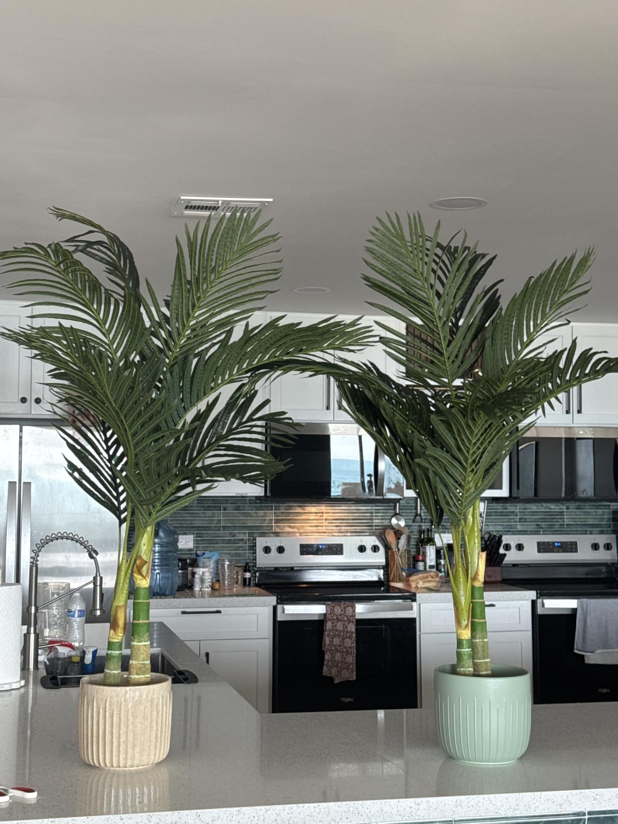 Nearly Natural 4 ft Artificial Golden Cane Palm Tree with Nursery Pot | Double-Stalk, Lush Realistic Foliage, Indoor Faux Palm Plant, Living Room Decor, Perfect Tropical Decoration customer photo 1