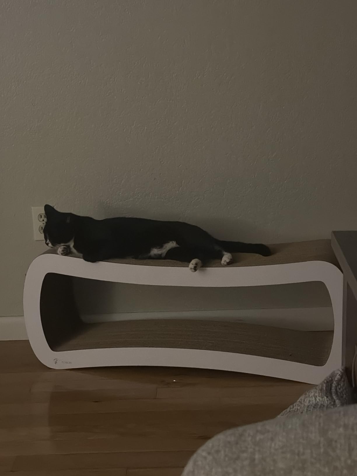 PetFusion Jumbo Cat Scratcher Lounge, White. 39 x 11 x 14 inch 4 Cardboard Scratching Surfaces and 2 Levels, Scratch, Play, Perch, and Hide100% Recyclable Cardboard Cat Lounge customer photo 1