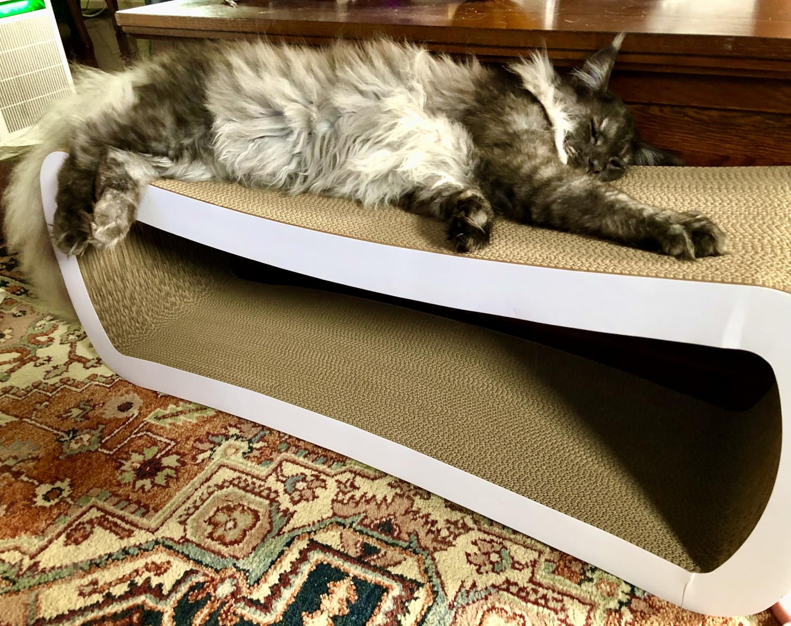 PetFusion Jumbo Cat Scratcher Lounge, White. 39 x 11 x 14 inch 4 Cardboard Scratching Surfaces and 2 Levels, Scratch, Play, Perch, and Hide100% Recyclable Cardboard Cat Lounge customer photo 2
