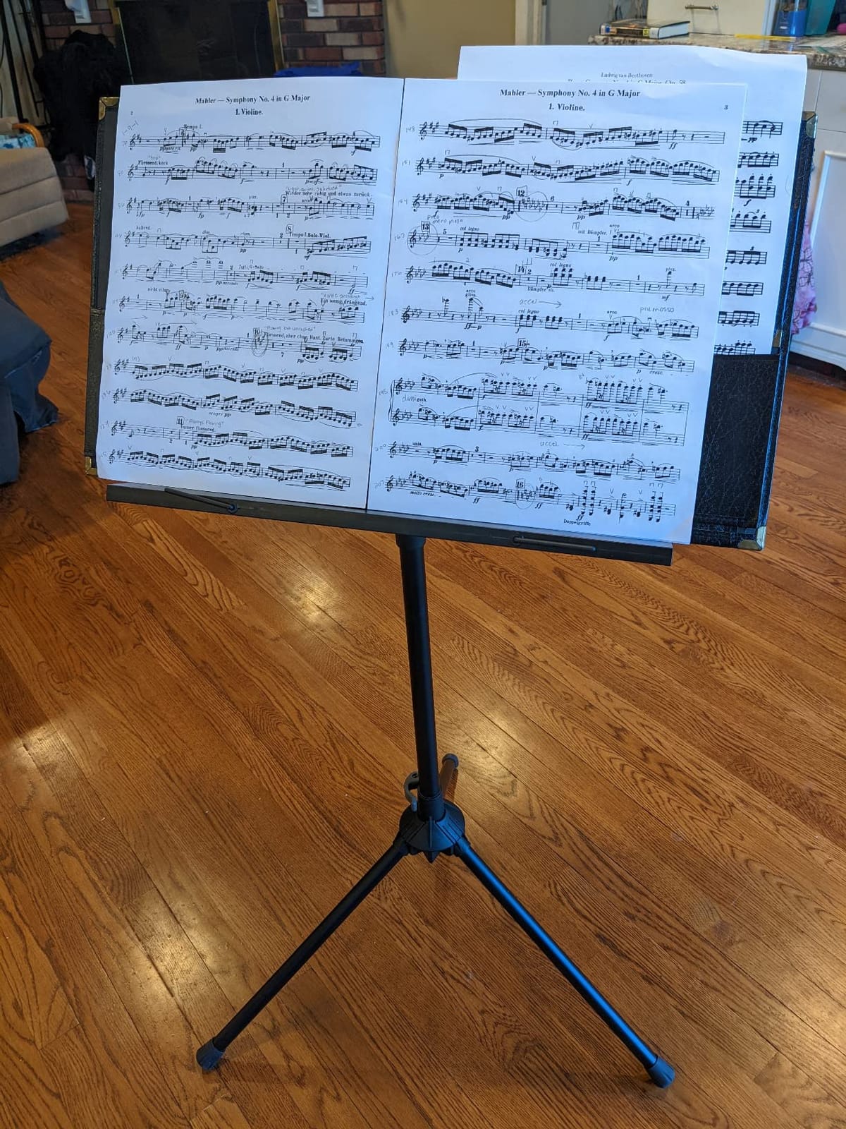 Peak Music Stands SMS-20 Collapsible Music Stand with Carrying Bag customer photo 2