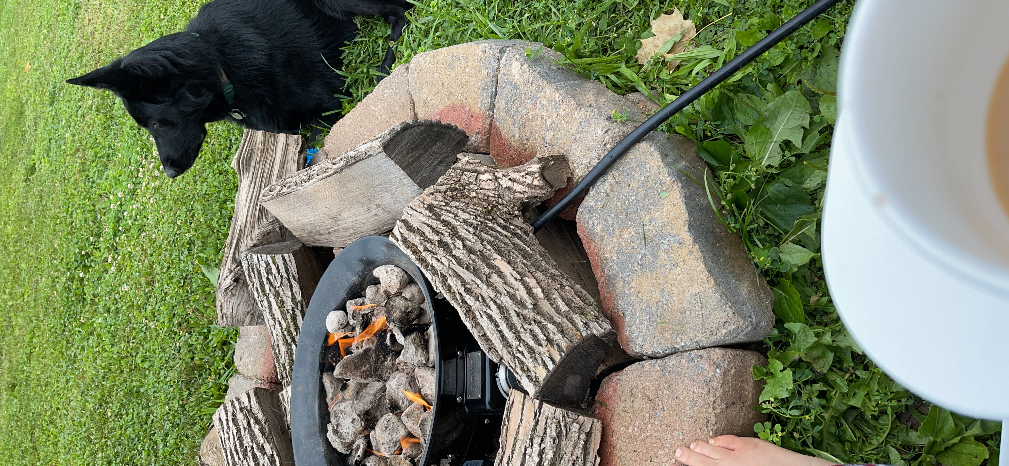 Outland Living Portable Propane Fire Pit, 19-inch, 58,000 BTU with Fire Pit Cover & Carry Kit, Smokeless Gas Firebowl | Perfect for Camping, Patio, Backyard, Tailgating, Deck, RV| Black 893 Deluxe customer photo 2