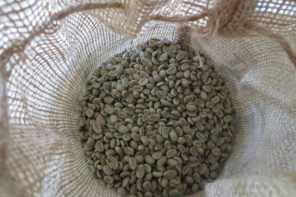 Smokin Beans Colombia Washed Unroasted Green Arabica Coffee Beans 5-Lb, 1ct customer photo 2