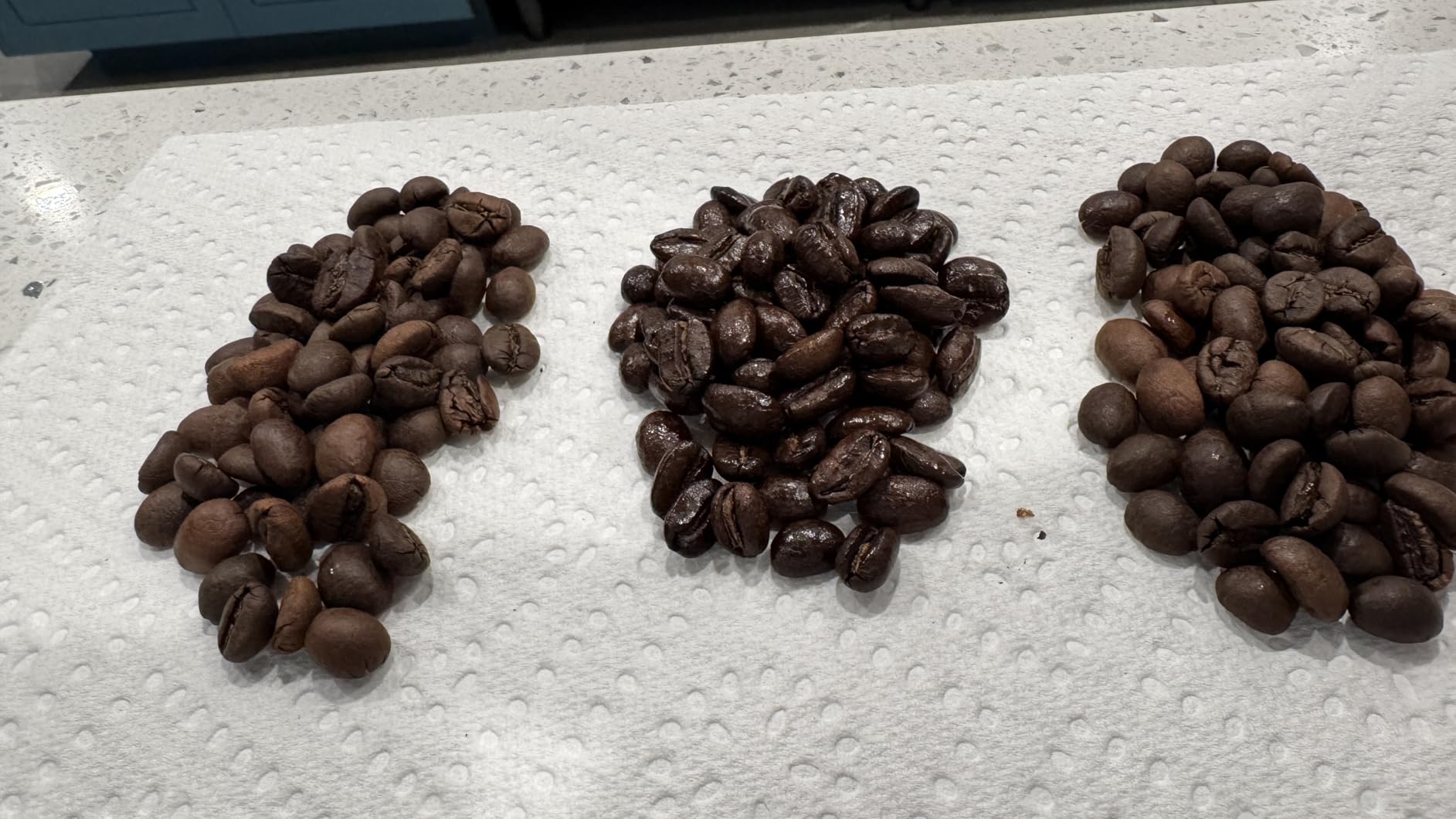 2LB Subtle Earth Organic Coffee - Medium-Dark Roast - Whole Bean Coffee - 100% Arabica Beans - Low Acidity and Non-GMO - 2lb bag customer photo 2