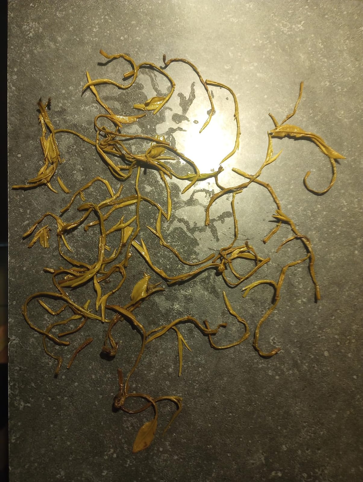 Tealyra - Jasmine Phoenix Pearls - Best Chinese Fuding Jasmine Green Loose Leaf Tea - 110g (4-ounce) customer photo 1