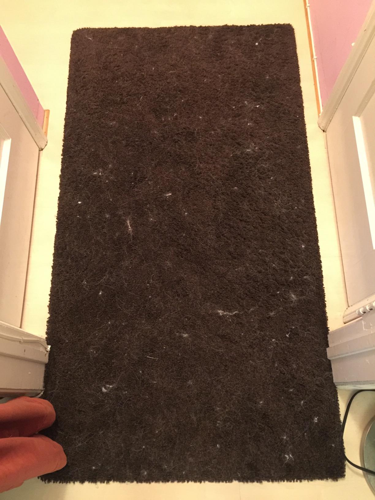 Shark Rocket Pet Plus Corded Stick Vacuum, XL Cup, Bordeaux/Silver, HV322 customer photo 2