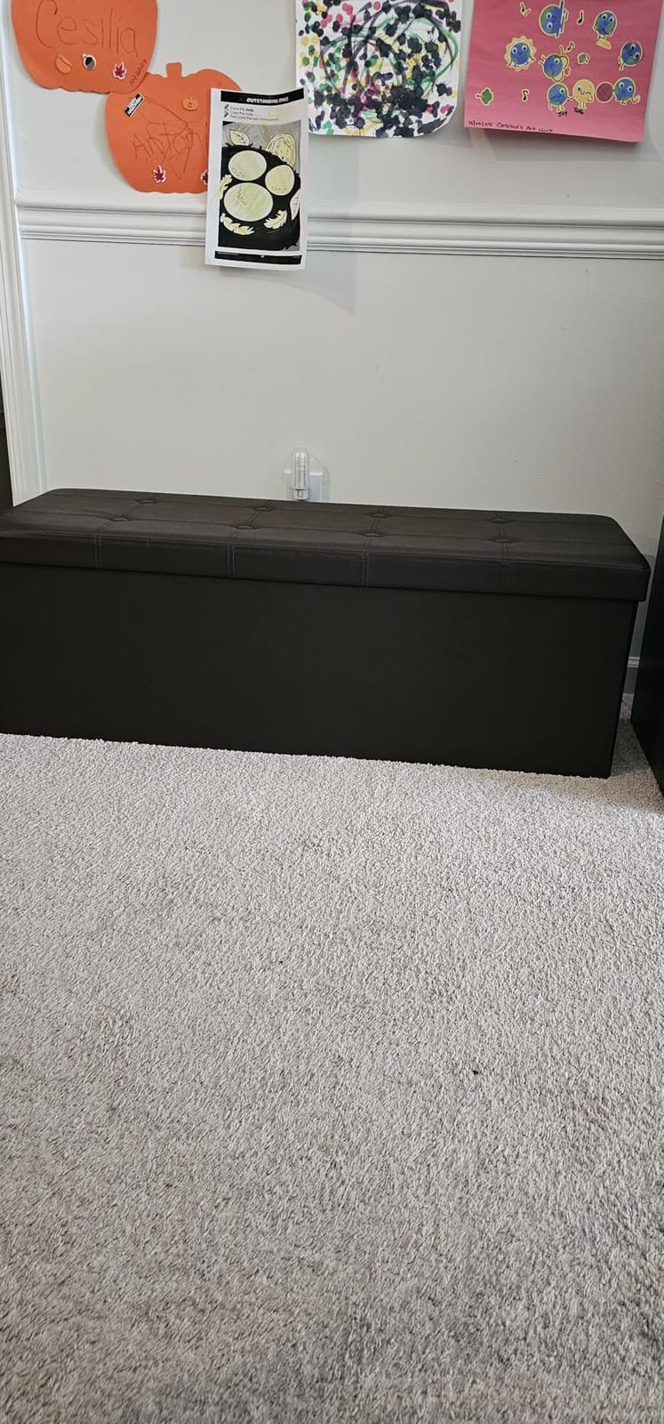 SONGMICS MAZIE Collection - 43 Inches Folding Storage Ottoman Bench, Ottoman with Storage, Foot Rest Stool, Load 660 lb, for Living Room, Synthetic Leather, Black customer photo 2