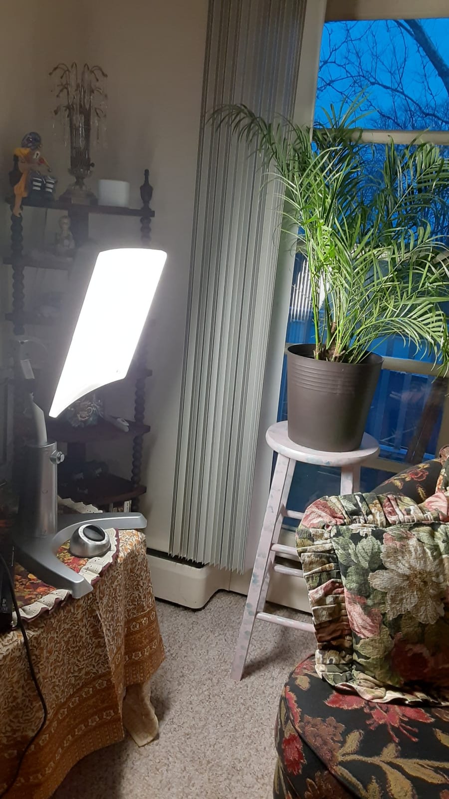 Carex Day-Light Classic Plus Sunlight Therapy Lamp - 10000 LUX Therapy Lamp at 12 Inches customer photo 2