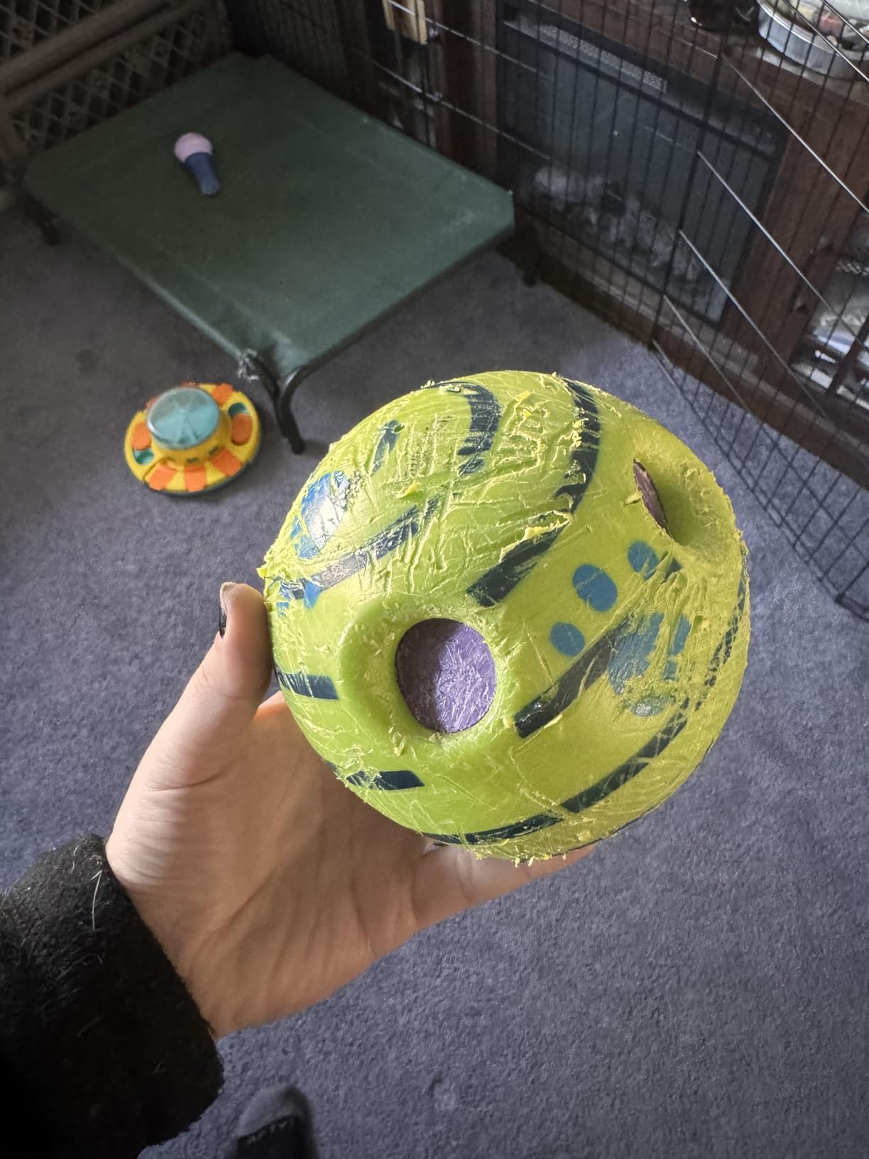 Wobble Wag Giggle Ball, Interactive Dog Toy, Fun Giggle Sounds When Rolled or Shaken, Pets Know Best, As Seen On TV customer photo 2