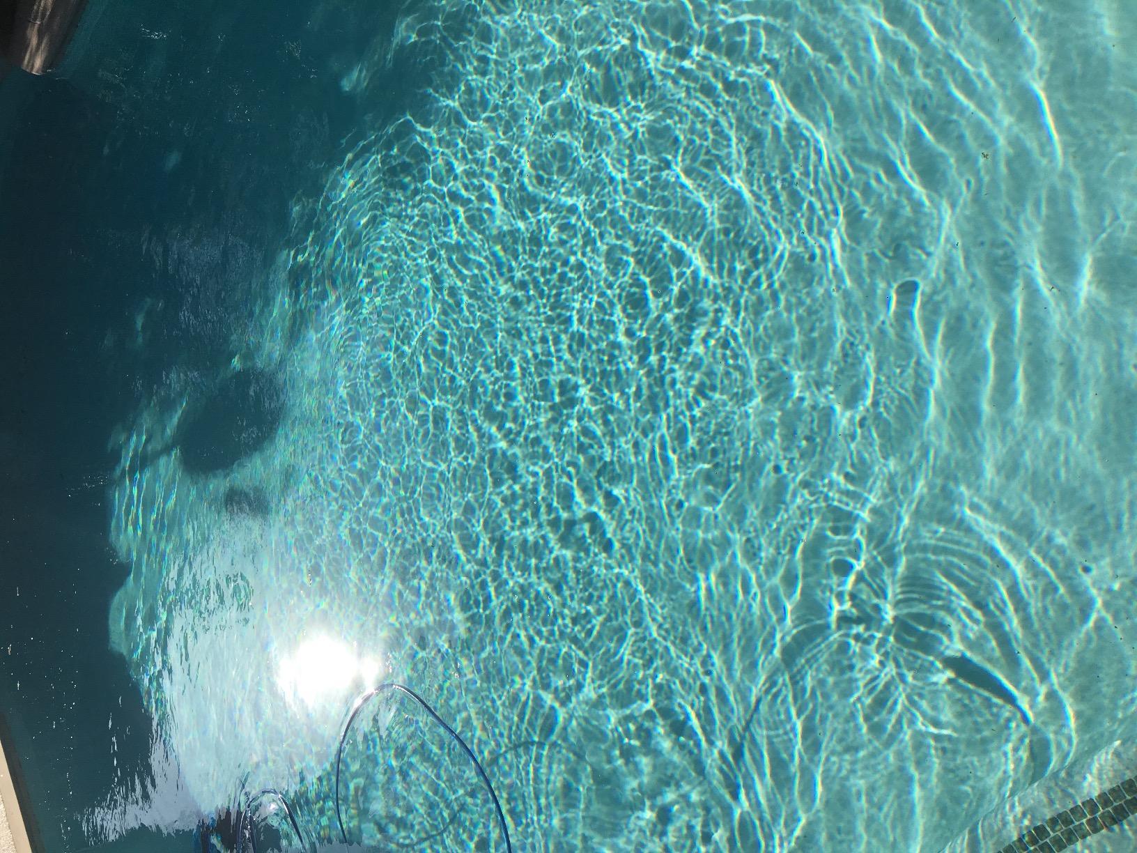 Dolphin Automatic Robotic Pool Vacuum Cleaner, Wall Climbing Scrubber Brush, Smart Navigation, Ideal for In-Ground Pools up to 50 FT in Length - Nautilus CC Plus customer photo 2