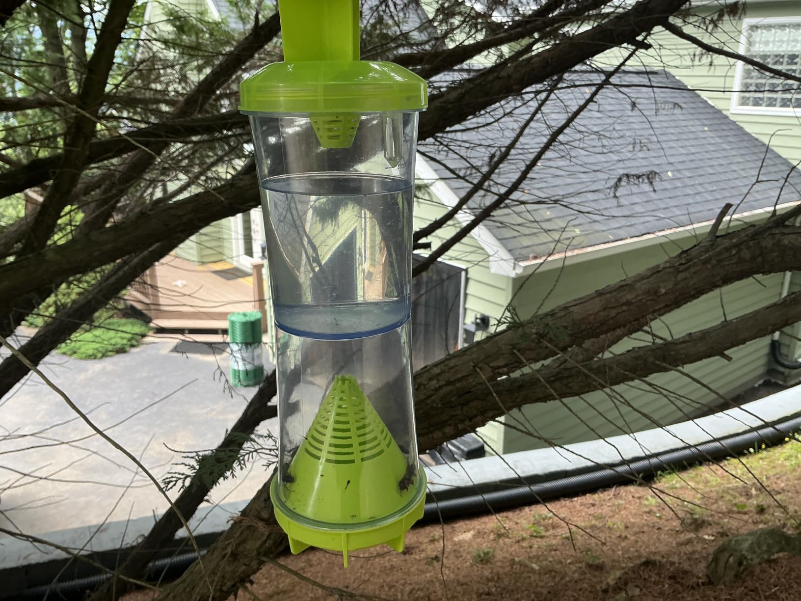 RESCUE! WHY Trap for Wasps, Hornets, & Yellowjackets - Hanging Outdoor Trap - 3 Traps customer photo 1