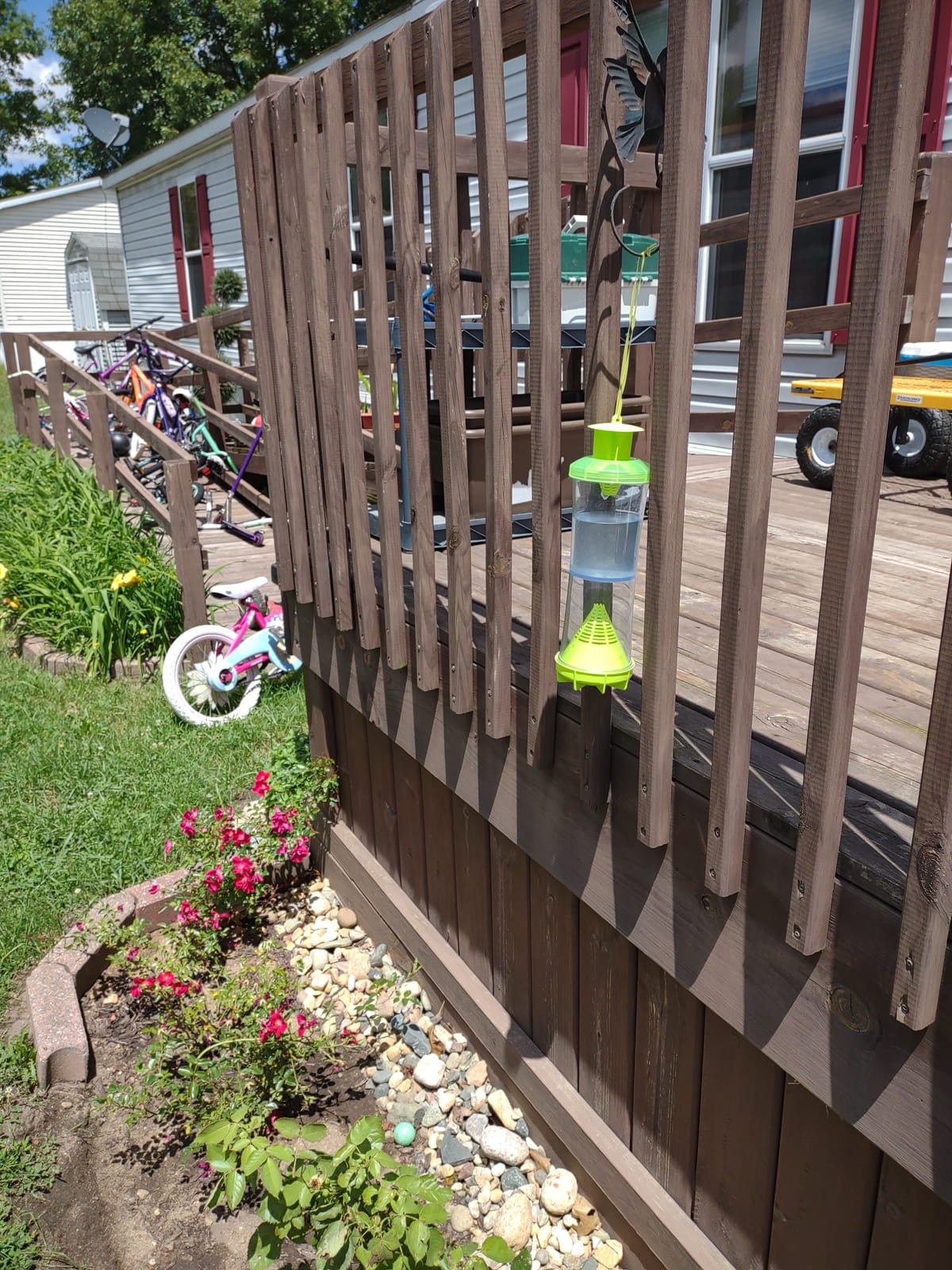 RESCUE! WHY Trap for Wasps, Hornets, & Yellowjackets - Hanging Outdoor Trap - 3 Traps customer photo 2