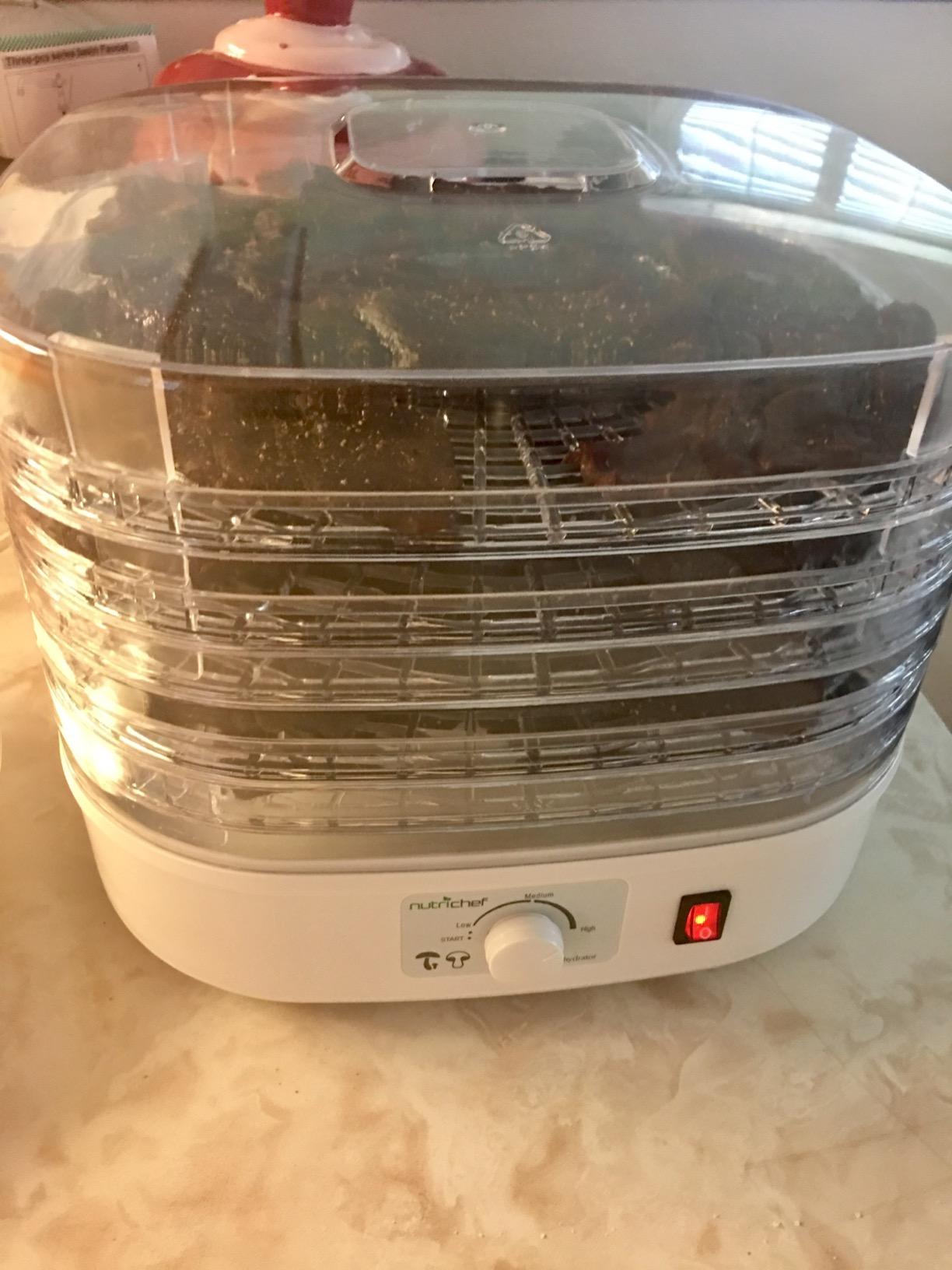 NutriChef Food Dehydrator Machine | Dehydrate Beef Jerky, Meats, Mushrooms, Fruits & Vegetables | Great For At Home Use | Uses High-Heat Circulation for Even Dehydration | 5 Easy to Clean Trays. customer photo 1