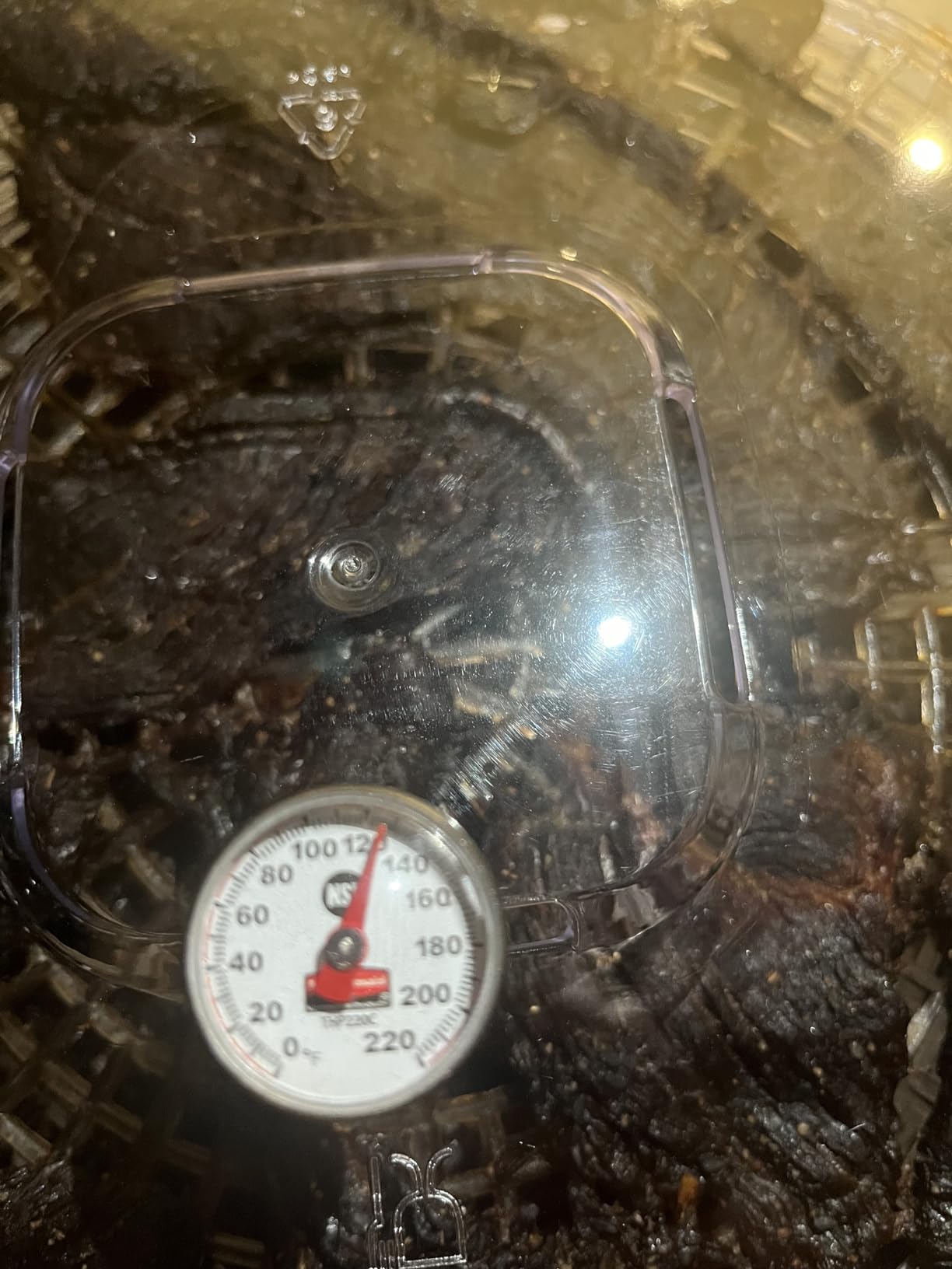 NutriChef Food Dehydrator Machine | Dehydrate Beef Jerky, Meats, Mushrooms, Fruits & Vegetables | Great For At Home Use | Uses High-Heat Circulation for Even Dehydration | 5 Easy to Clean Trays. customer photo 2