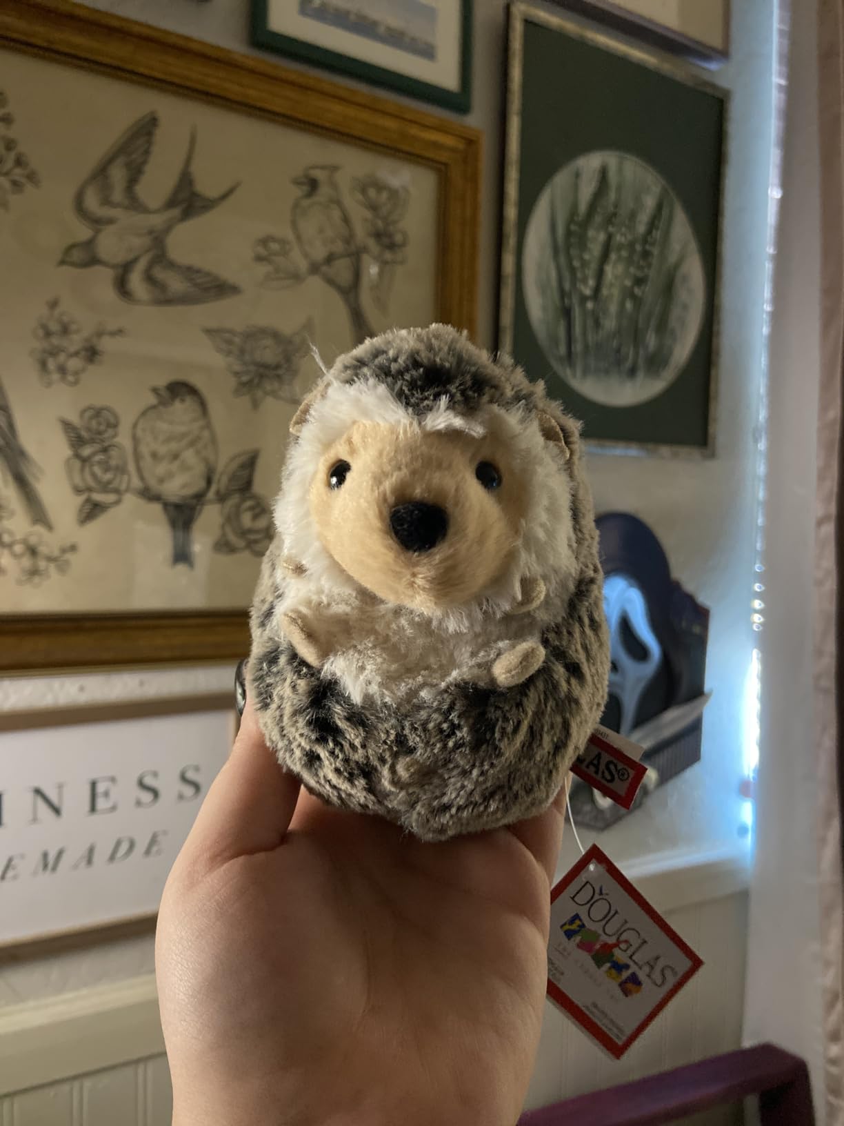 Douglas Spunky Hedgehog Plush Stuffed Animal customer photo 2