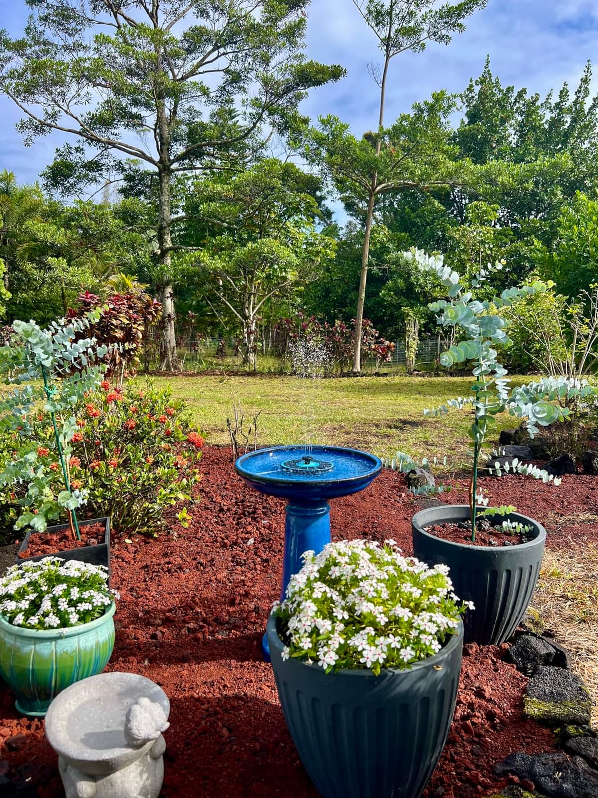 Smart Solar Aviatra Outdoor Ceramic Birdbath with Pedestal Stand and Glossy Finish, Elegant Traditional Birdbath for Garden, Blue customer photo 1