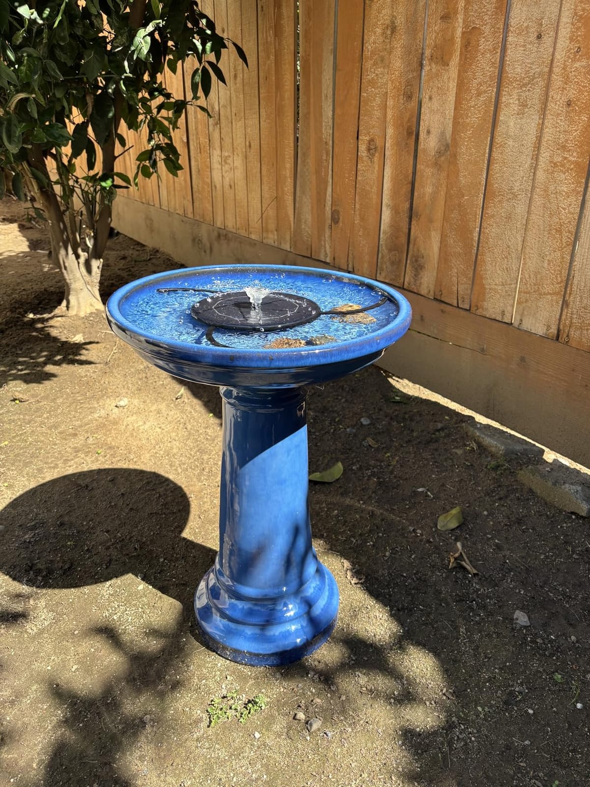 Smart Solar Aviatra Outdoor Ceramic Birdbath with Pedestal Stand and Glossy Finish, Elegant Traditional Birdbath for Garden, Blue customer photo 2