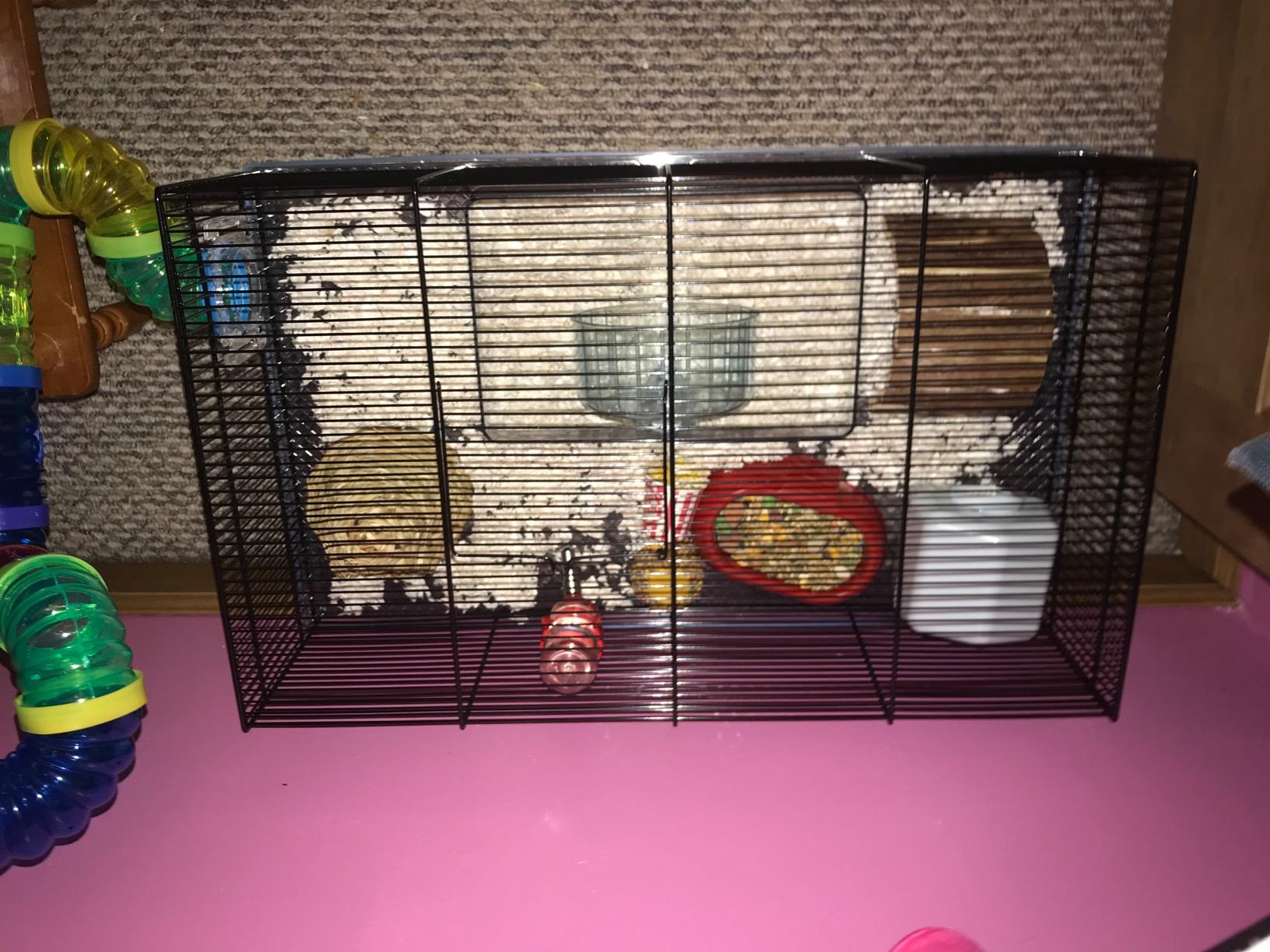 Ferplast Favola Hamster Cage Includes Free Water Bottle, Exercise Wheel, Food Dish & Hamster Hide-Out Large Hamster Cage Measures 23.6L x 14.4W x 11.8H-Inches customer photo 1