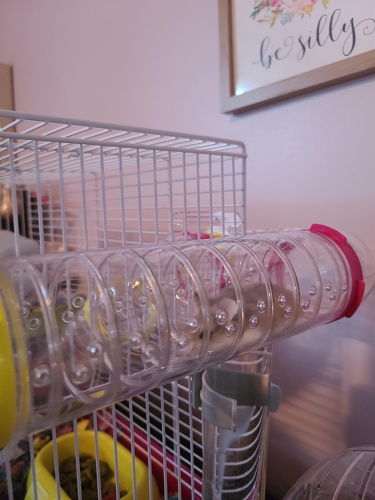 Ferplast Laura Small Hamster Cage | Fun & Interactive Cage Measures 18.11L x 11.61W x 14.8H & Includes All Accessories customer photo 1