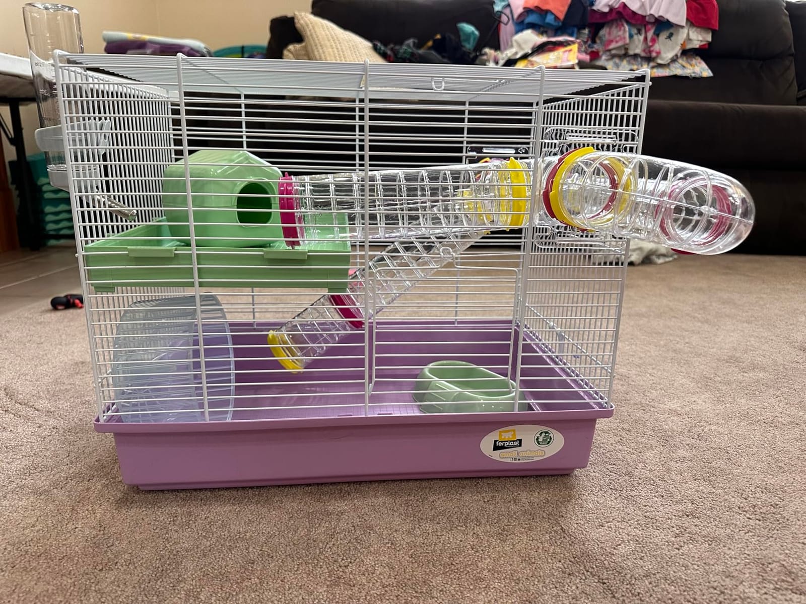 Ferplast Laura Small Hamster Cage | Fun & Interactive Cage Measures 18.11L x 11.61W x 14.8H & Includes All Accessories customer photo 2
