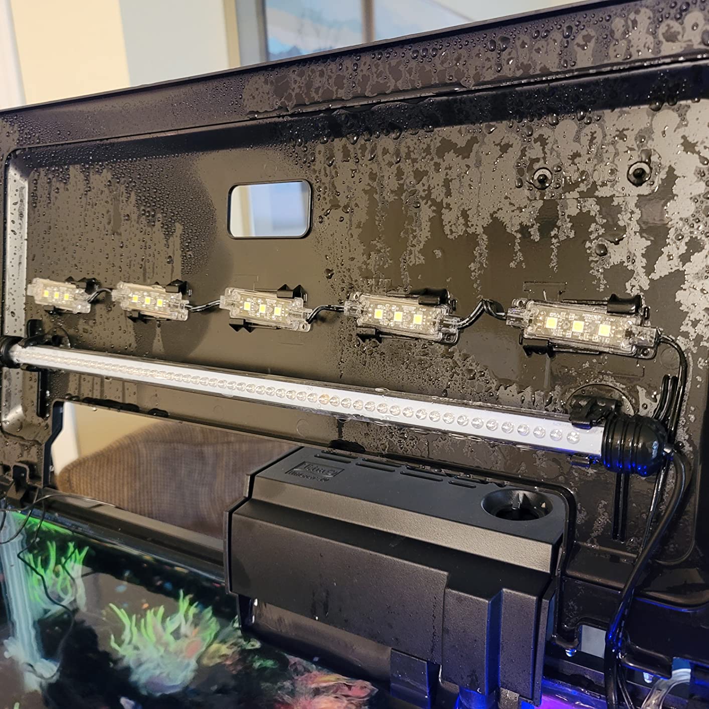 Tetra ColorFusion Aquarium 20 Gallon Fish Tank Kit, Includes LED Lighting and Decor customer photo 1