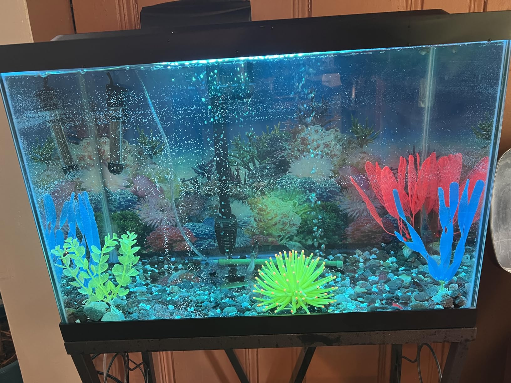 Tetra ColorFusion Aquarium 20 Gallon Fish Tank Kit, Includes LED Lighting and Decor customer photo 2