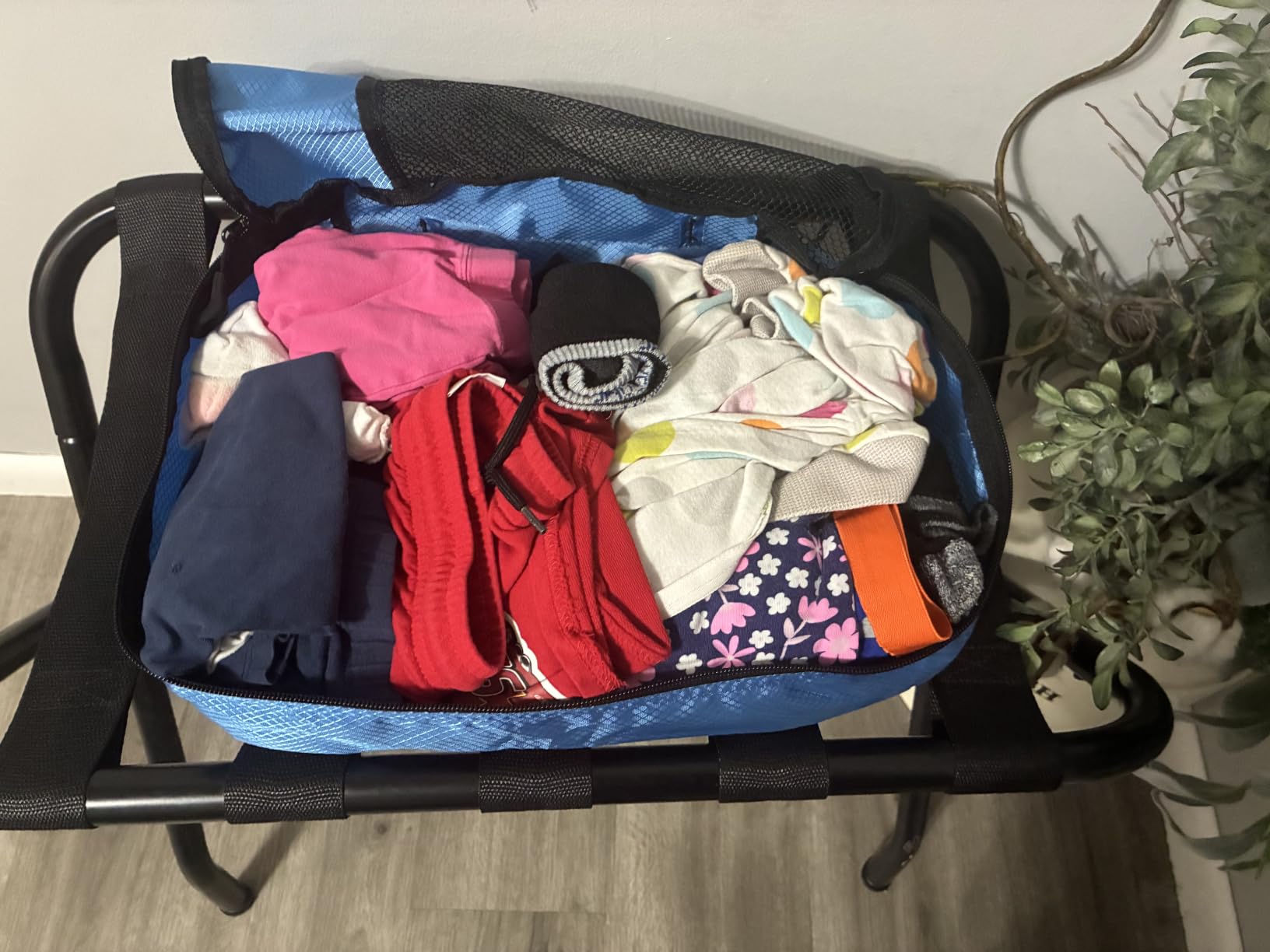 4-Piece Packing Cubes Travel Accessories Set, Space-Saving Luggage Organizer with Double Zipper, Mesh Top Panel, Medium, Gray (Previously Amazon Basics) customer photo 1