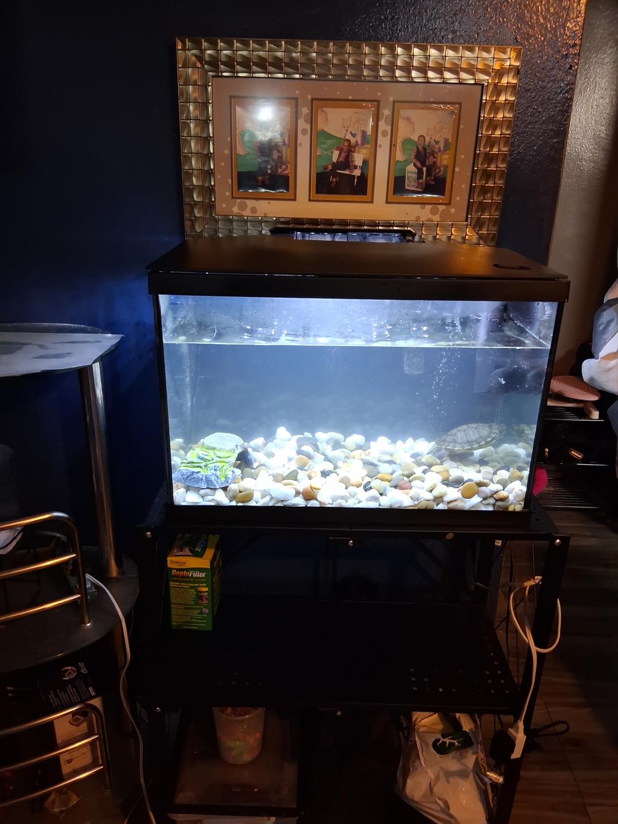 Marina 5 Gallon (19 L) LED Aquarium Kit, Ideal for Beginner Aquarists and New Fish-Keepers customer photo 1